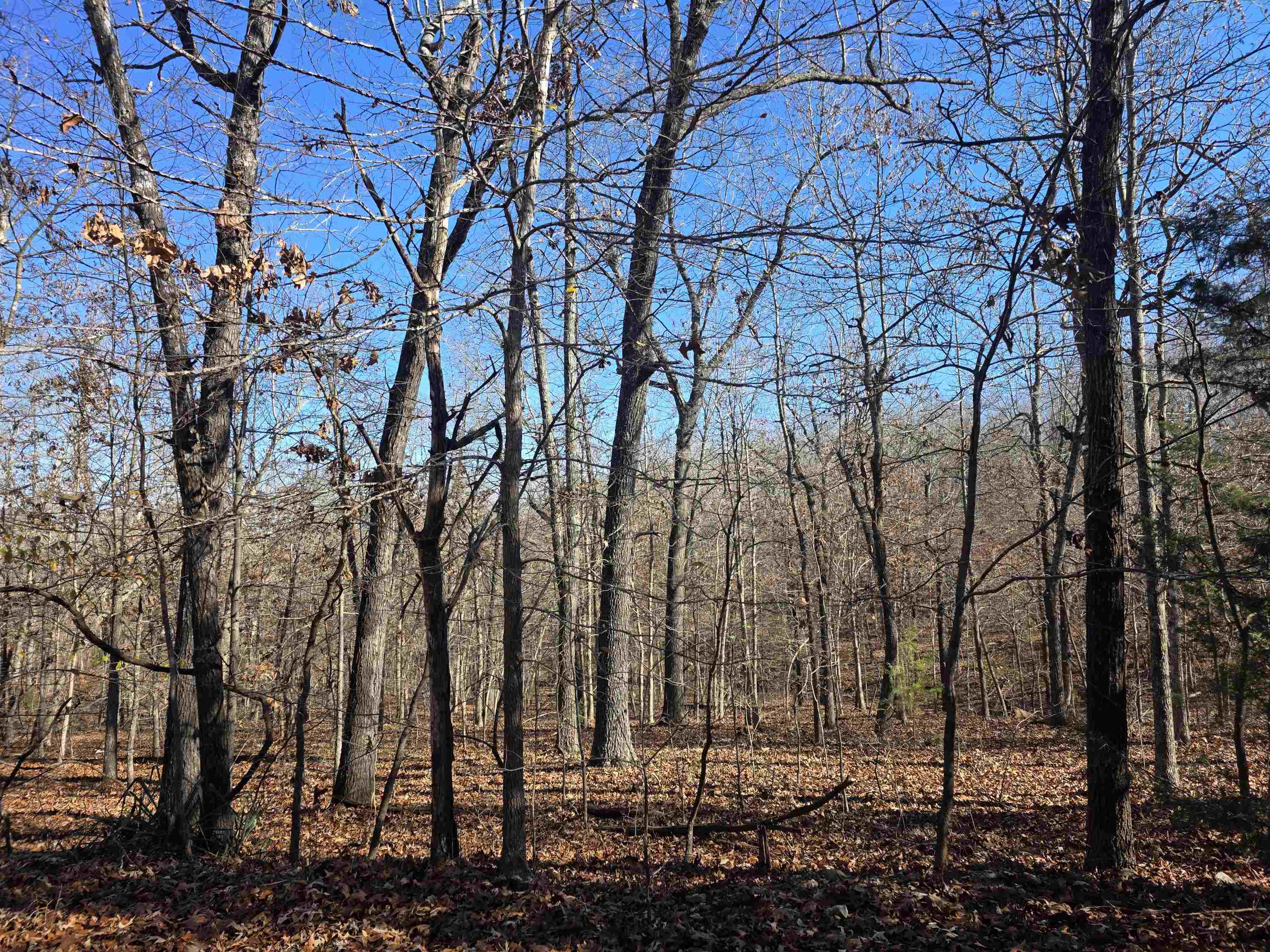 L11,B5 Wasatch  Cherokee Village, AR