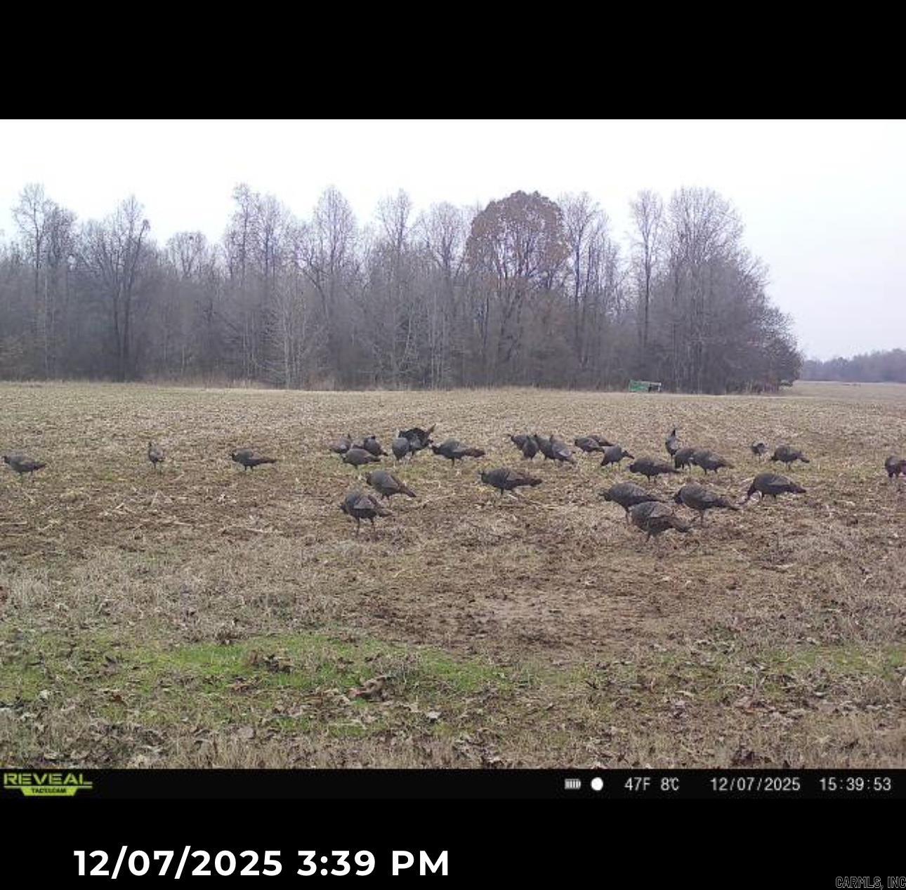 1 CR 457 Road Pollard, AR 72456