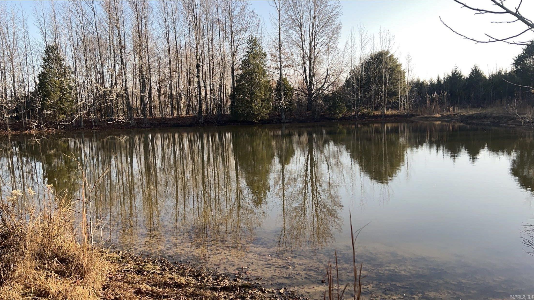 1 CR 457 Road Pollard, AR 72456