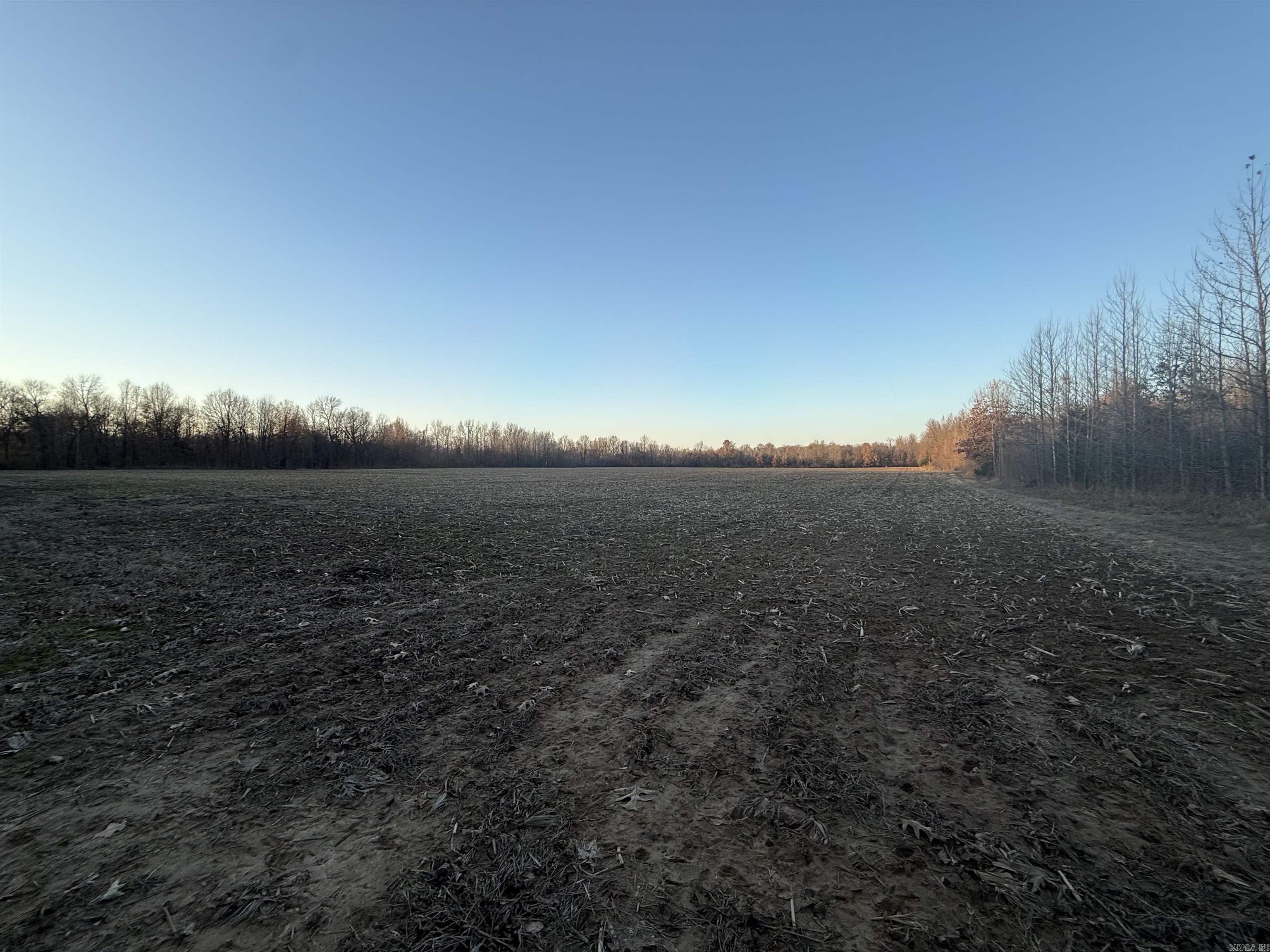 1 CR 457 Road Pollard, AR 72456