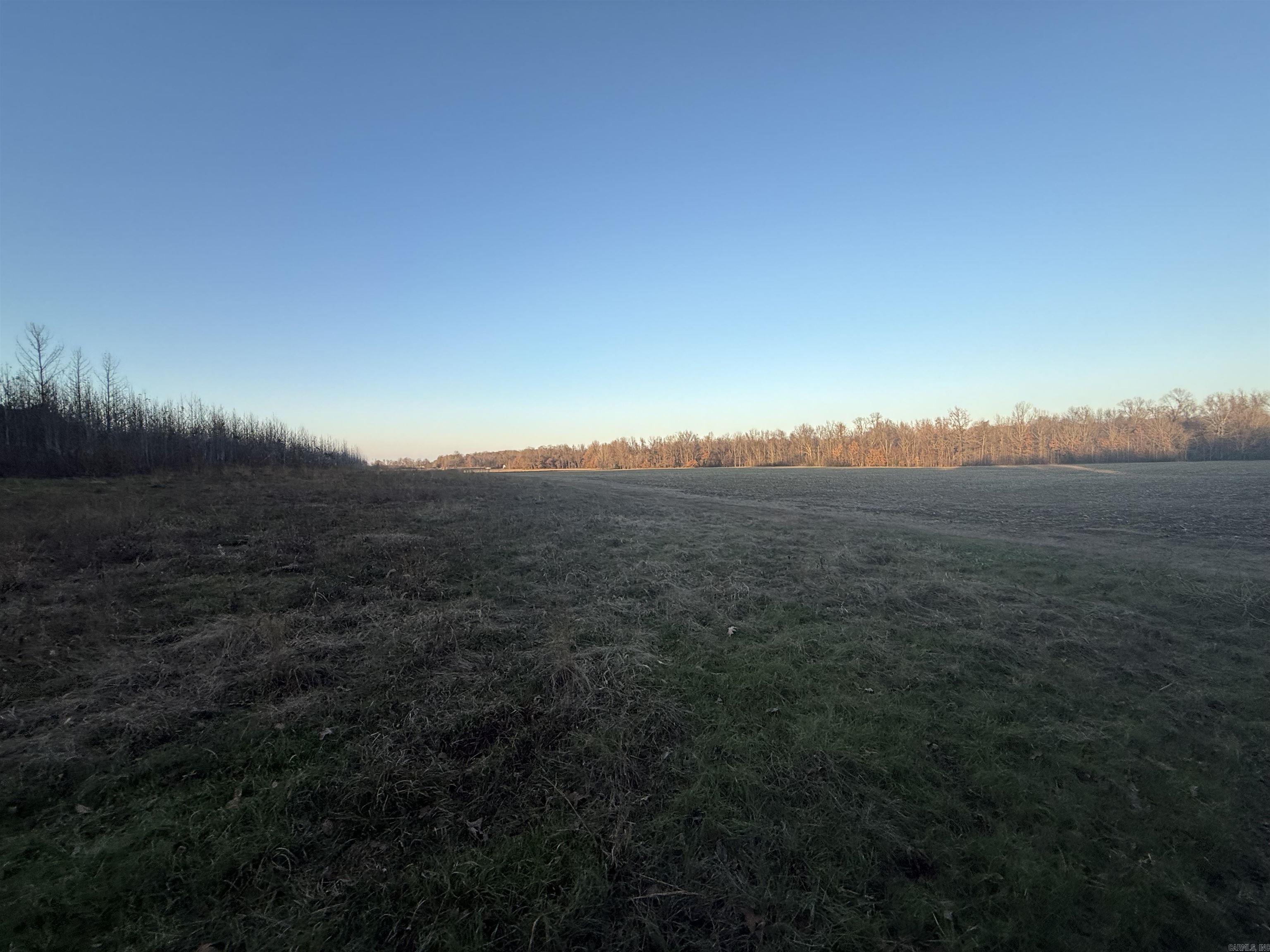 1 CR 457 Road Pollard, AR 72456