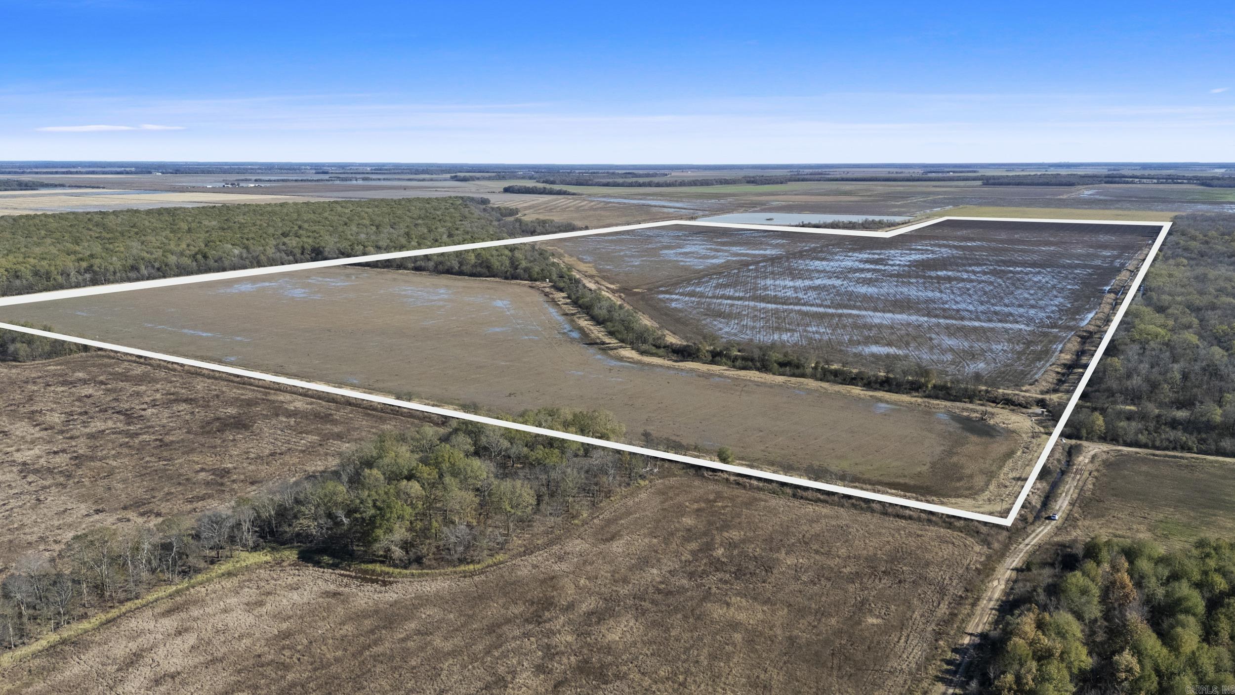 TBD Honeybee  England, AR