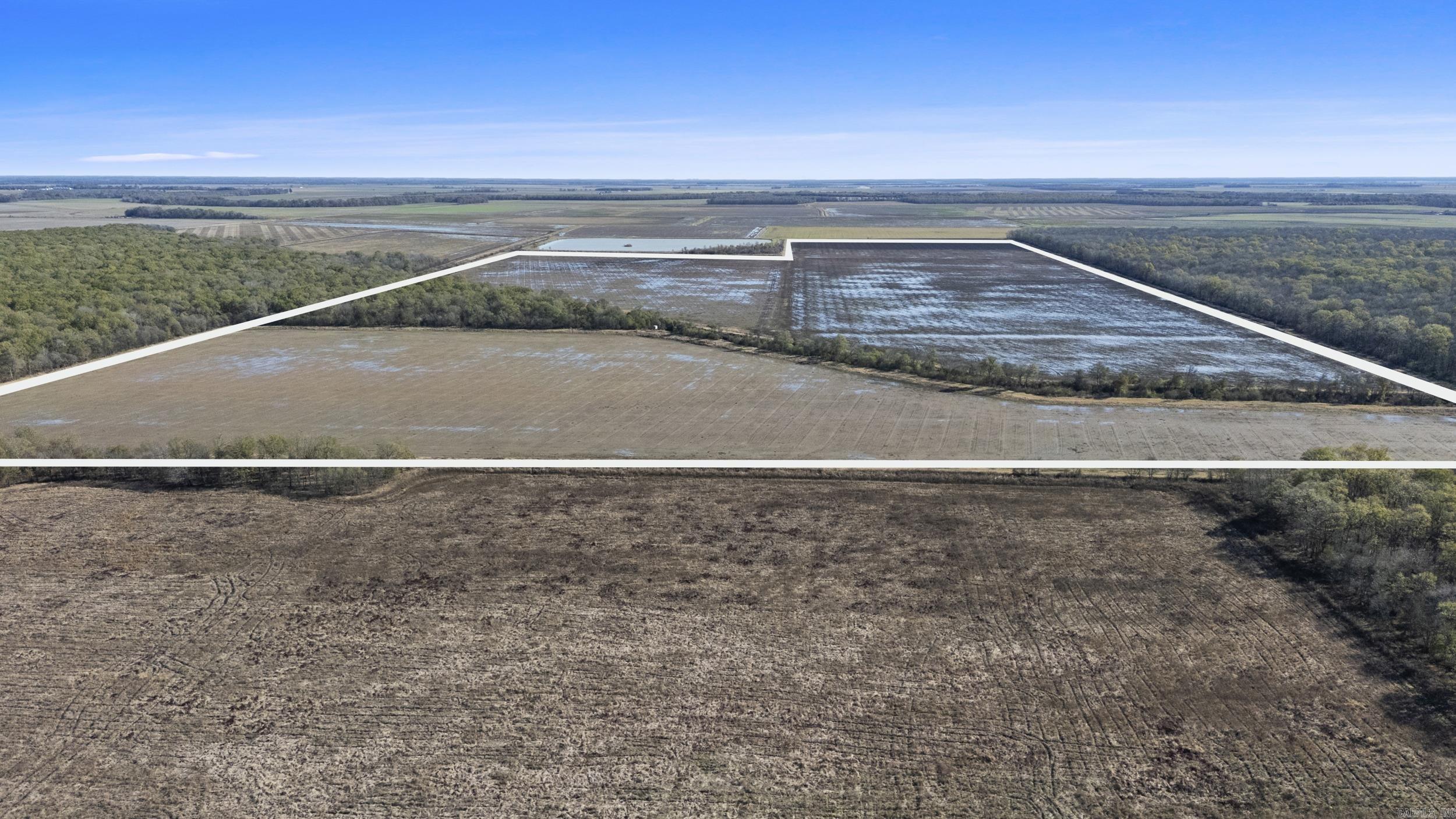 TBD Honeybee  England, AR