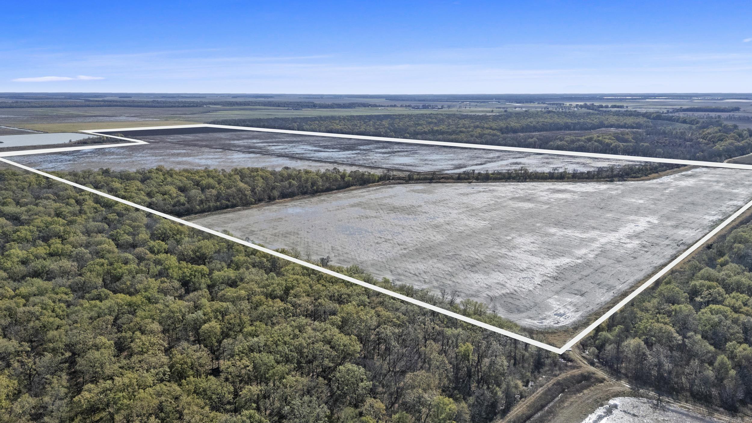 TBD Honeybee  England, AR