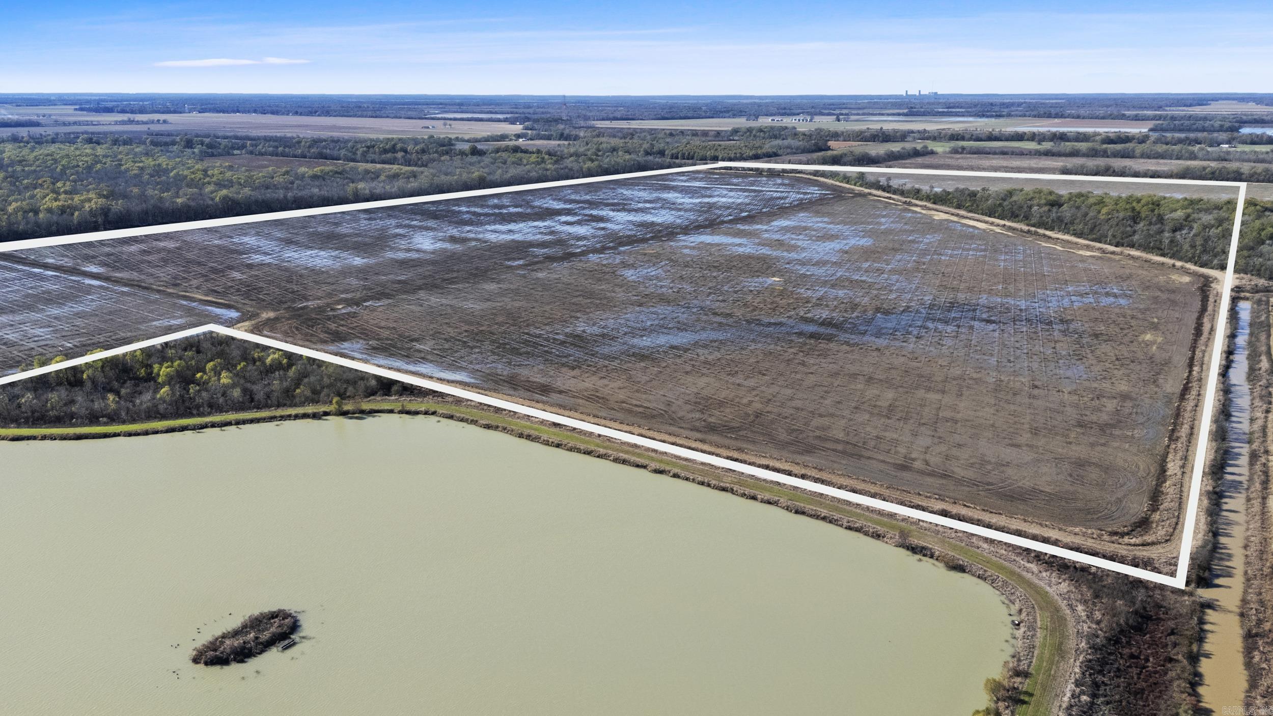 TBD Honeybee  England, AR