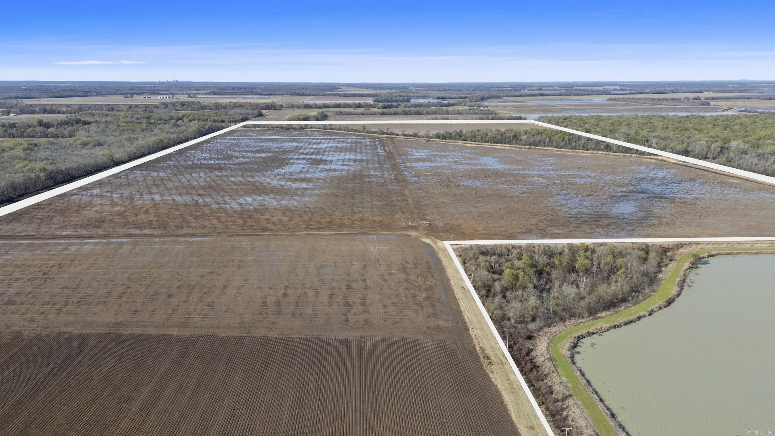 TBD Honeybee  England, AR