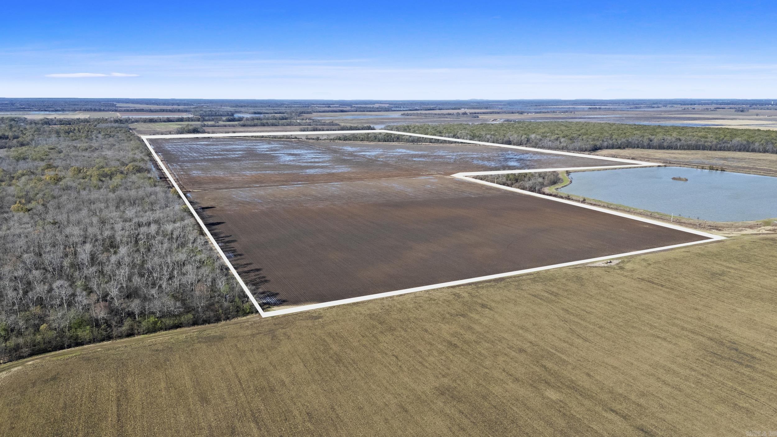 TBD Honeybee  England, AR