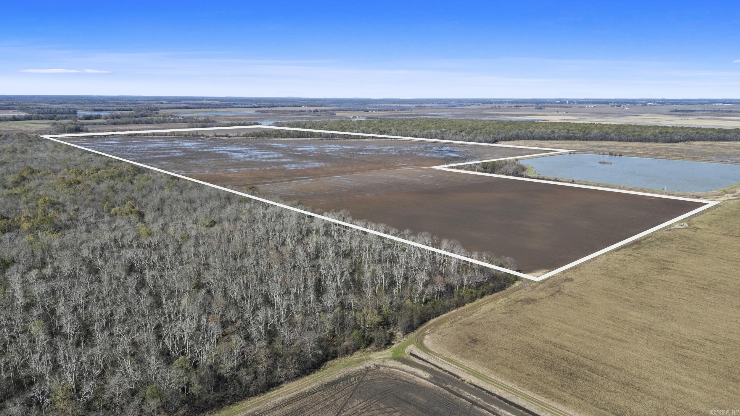 TBD Honeybee  England, AR