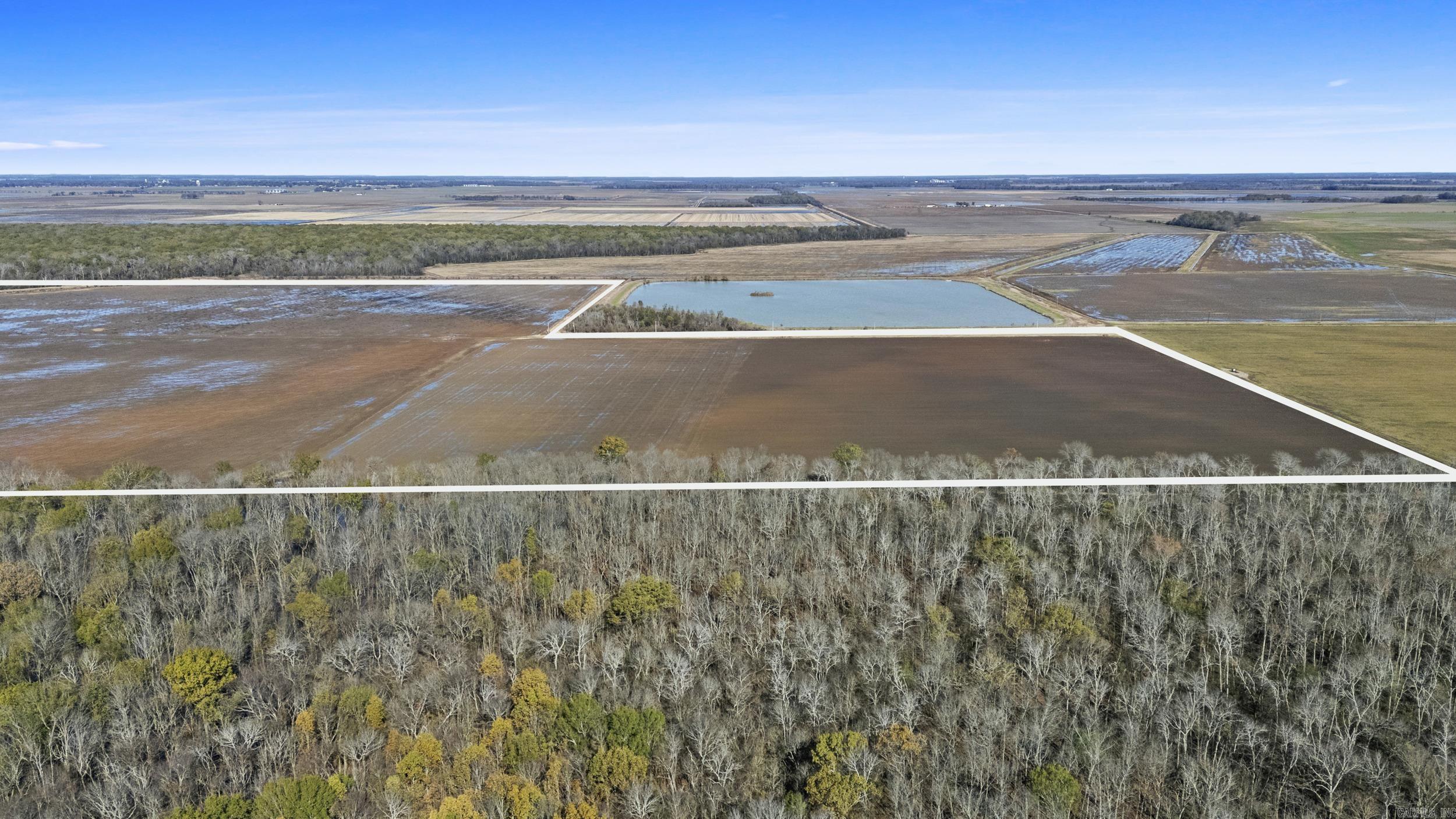 TBD Honeybee  England, AR