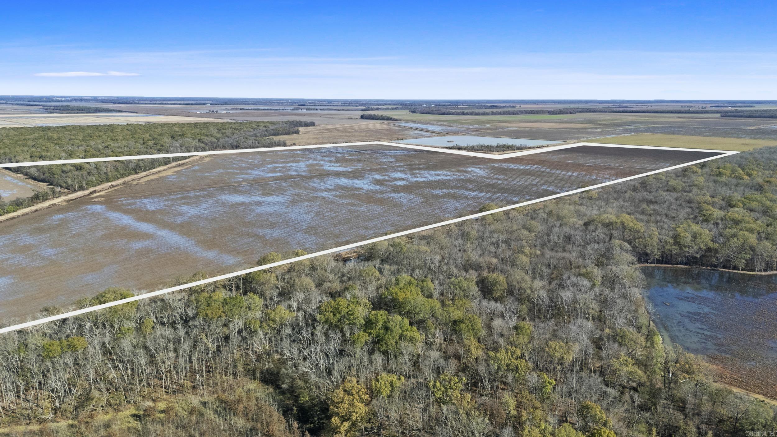 TBD Honeybee  England, AR