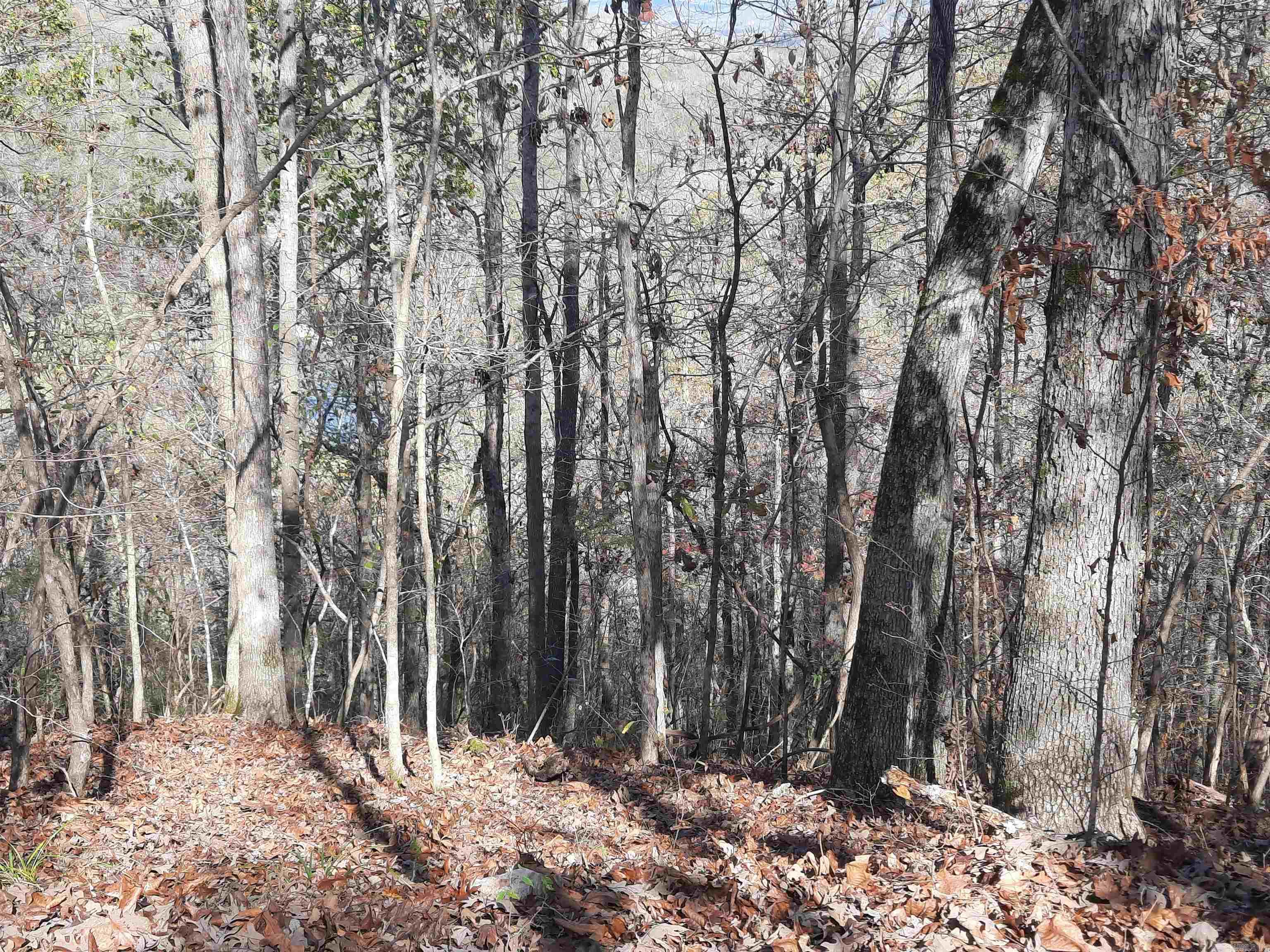 000 hwy 9  Mountain View, AR