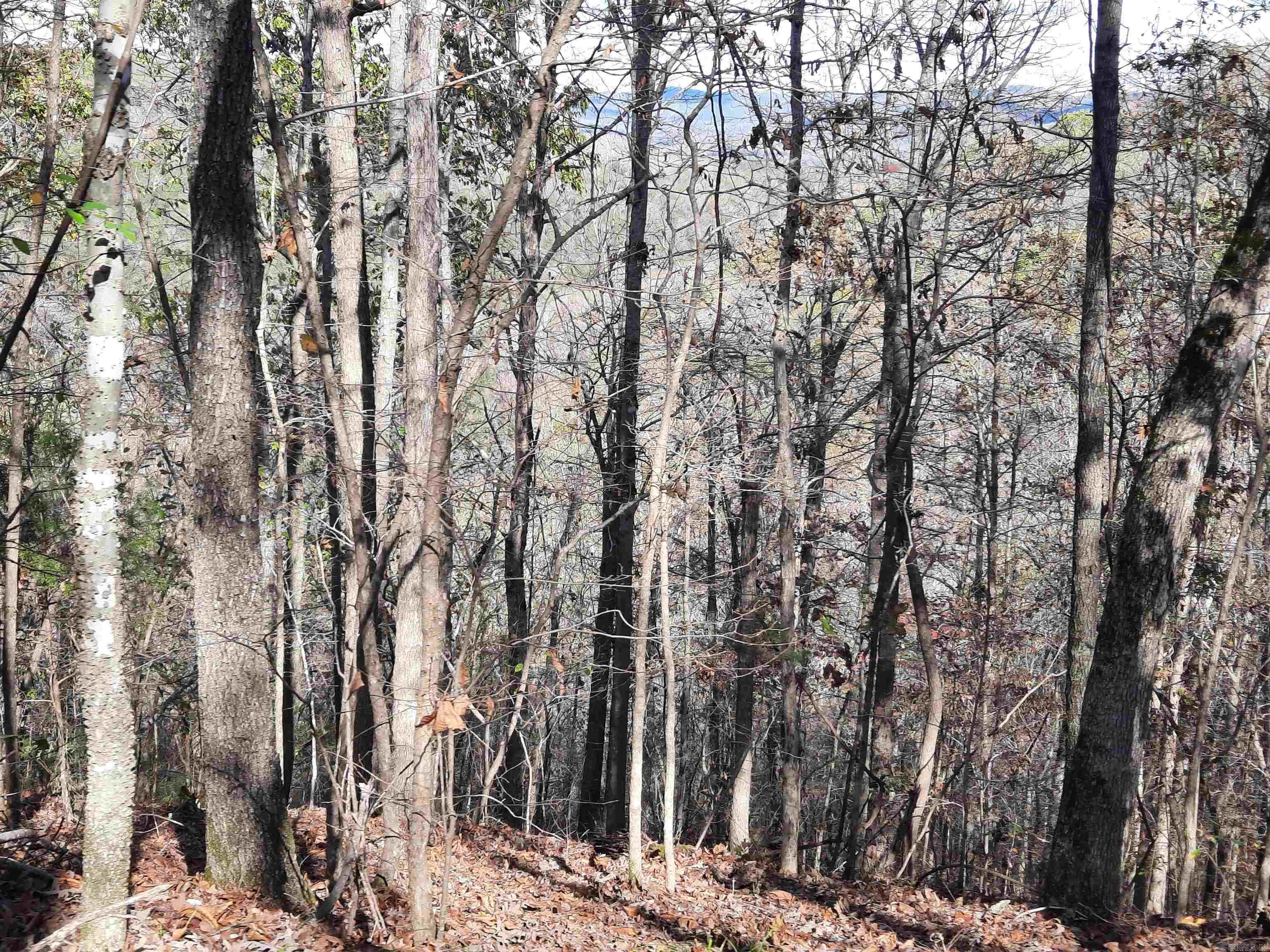 000 hwy 9  Mountain View, AR