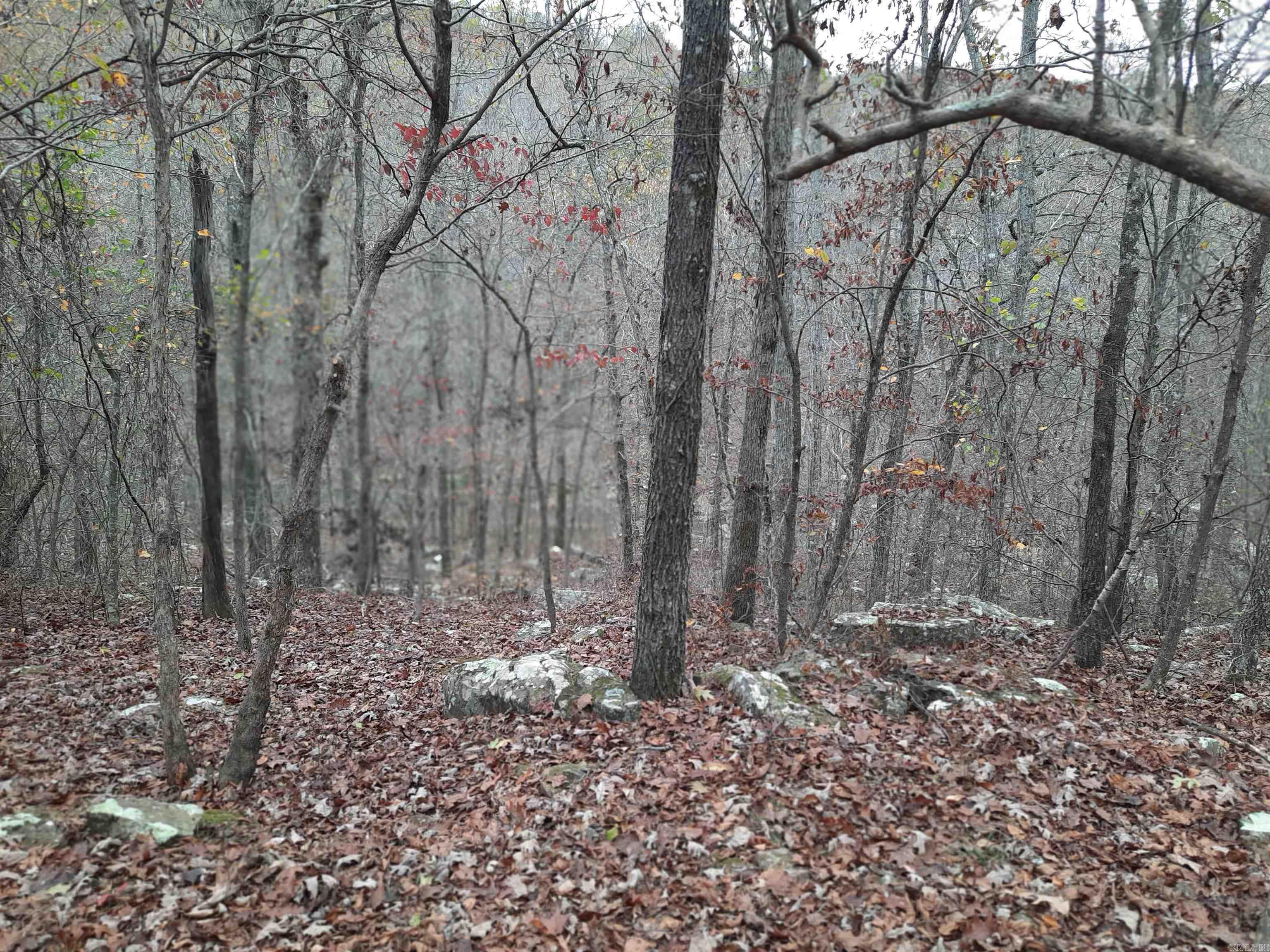 000 hwy 9  Mountain View, AR