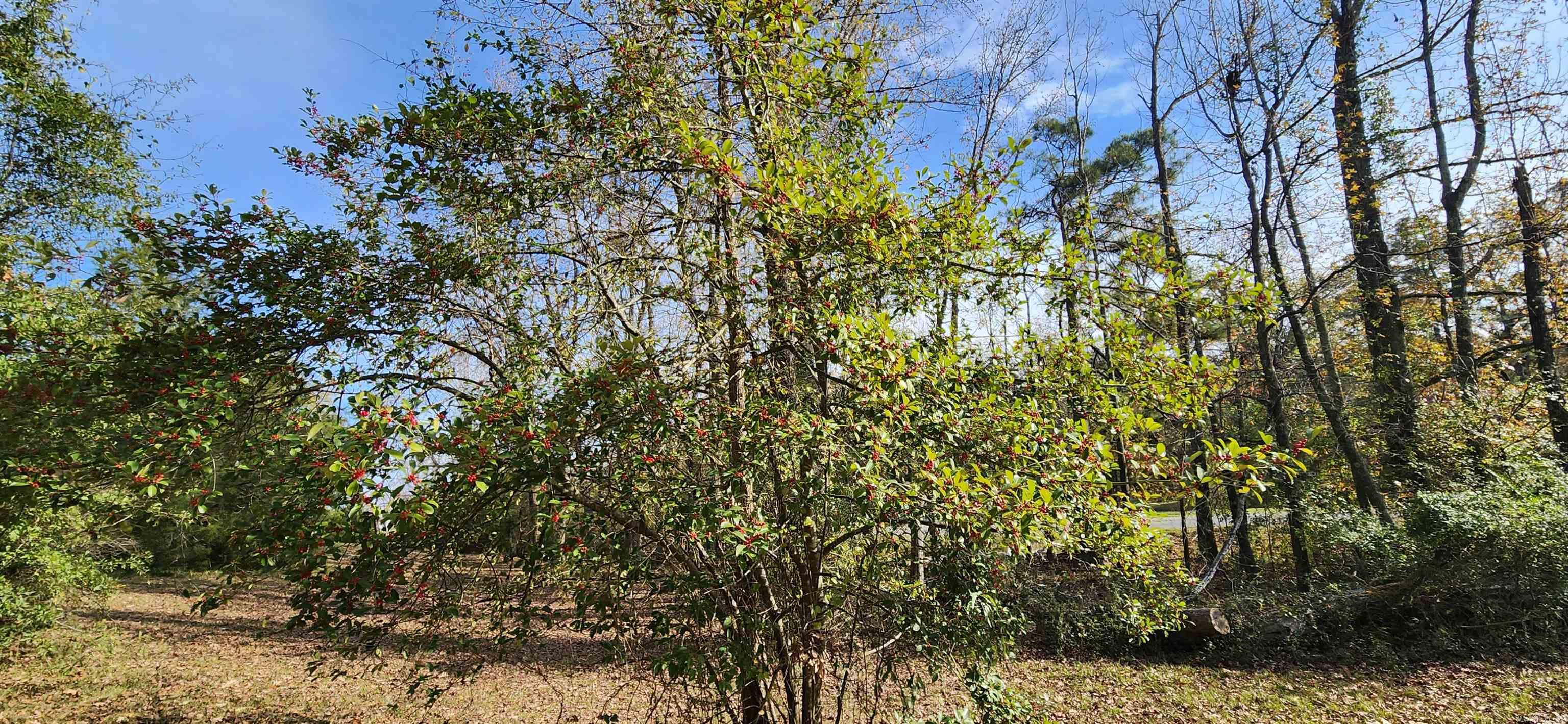 707 W Kennedy  Star City, AR