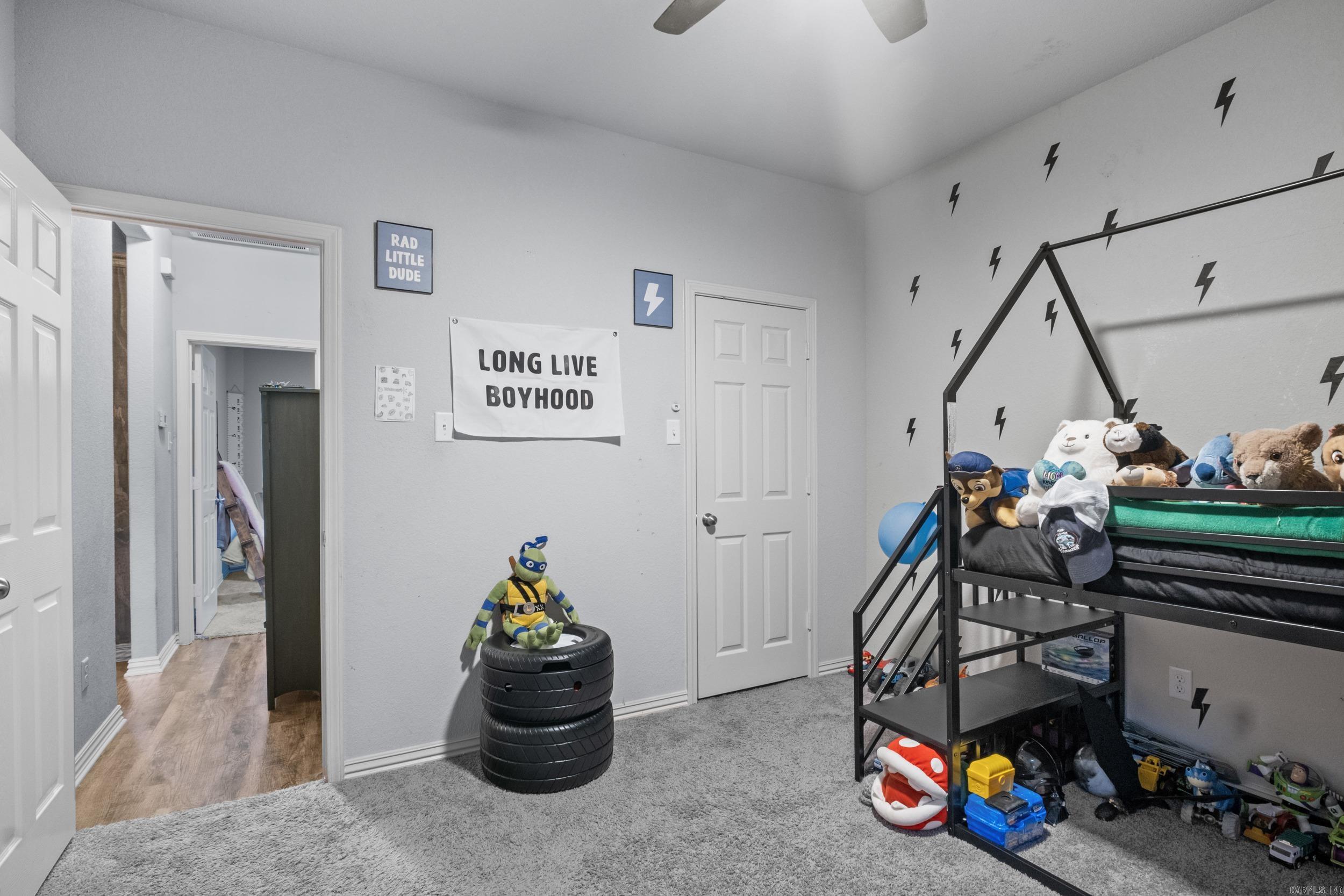 2020 Mary Alice Drive Conway, AR 72032