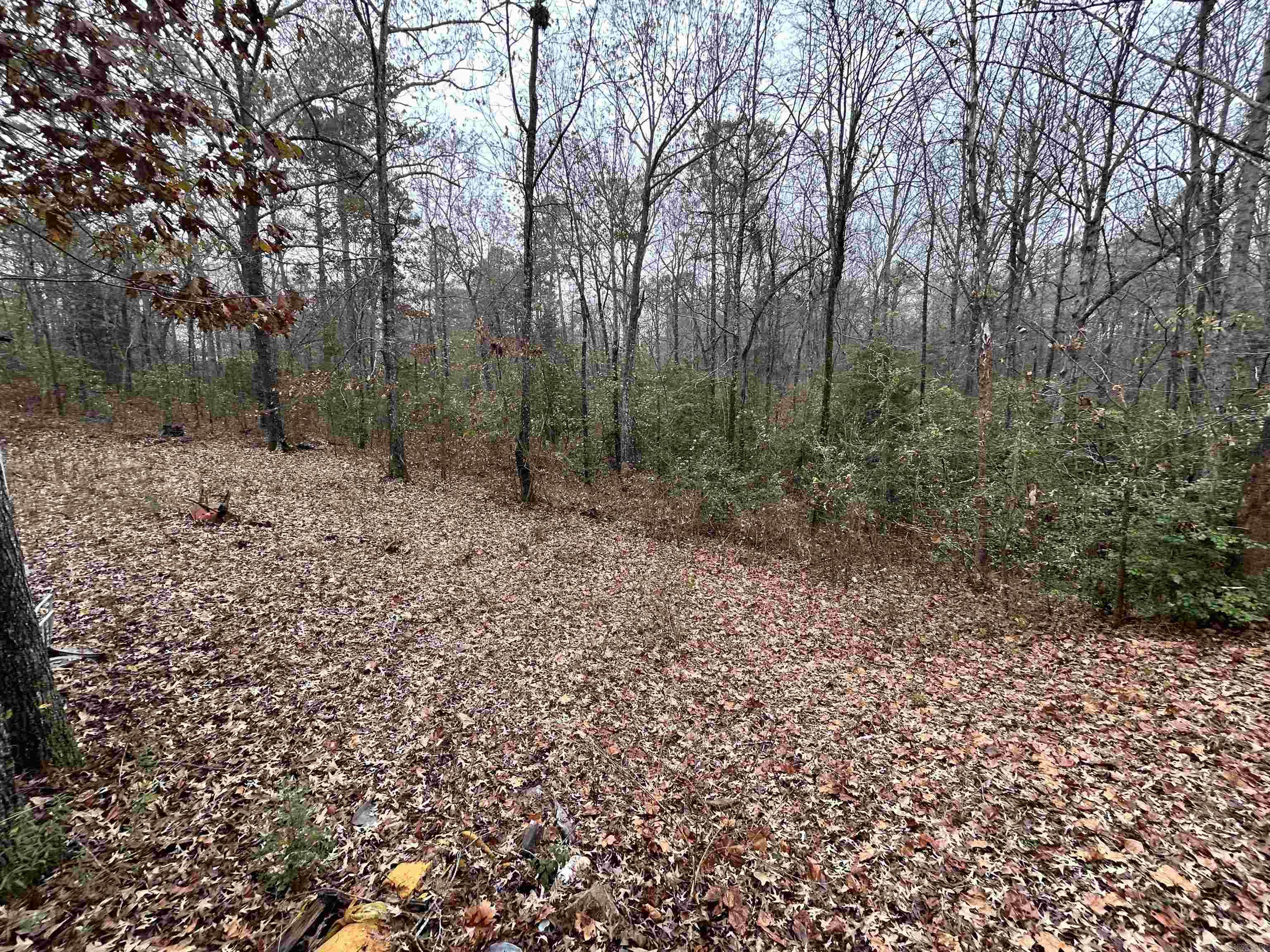 2337 McPherson Springs  Mabelvale, AR