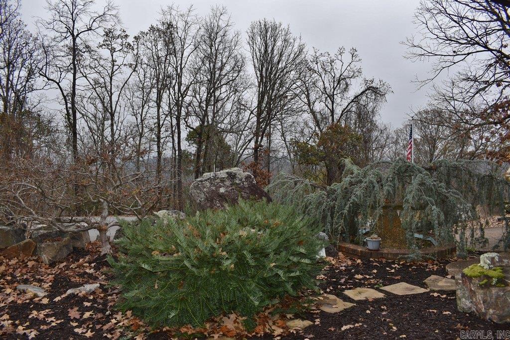 33 Mesero  Hot Springs Village, AR