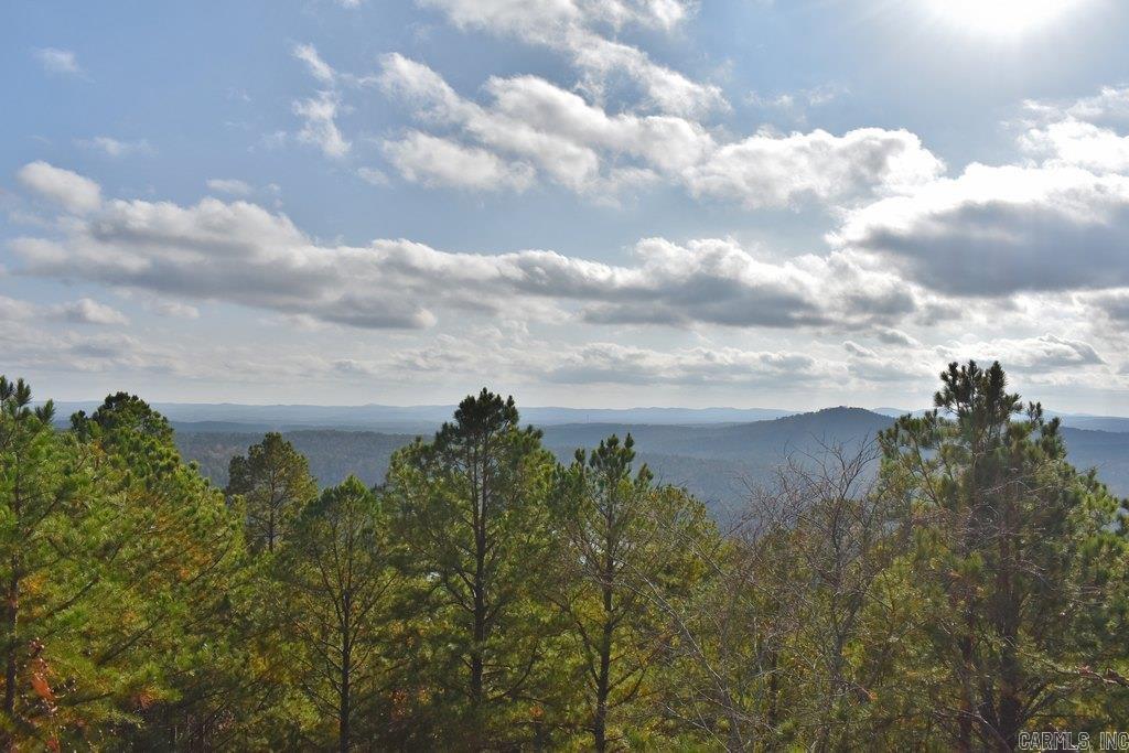 33 Mesero  Hot Springs Village, AR