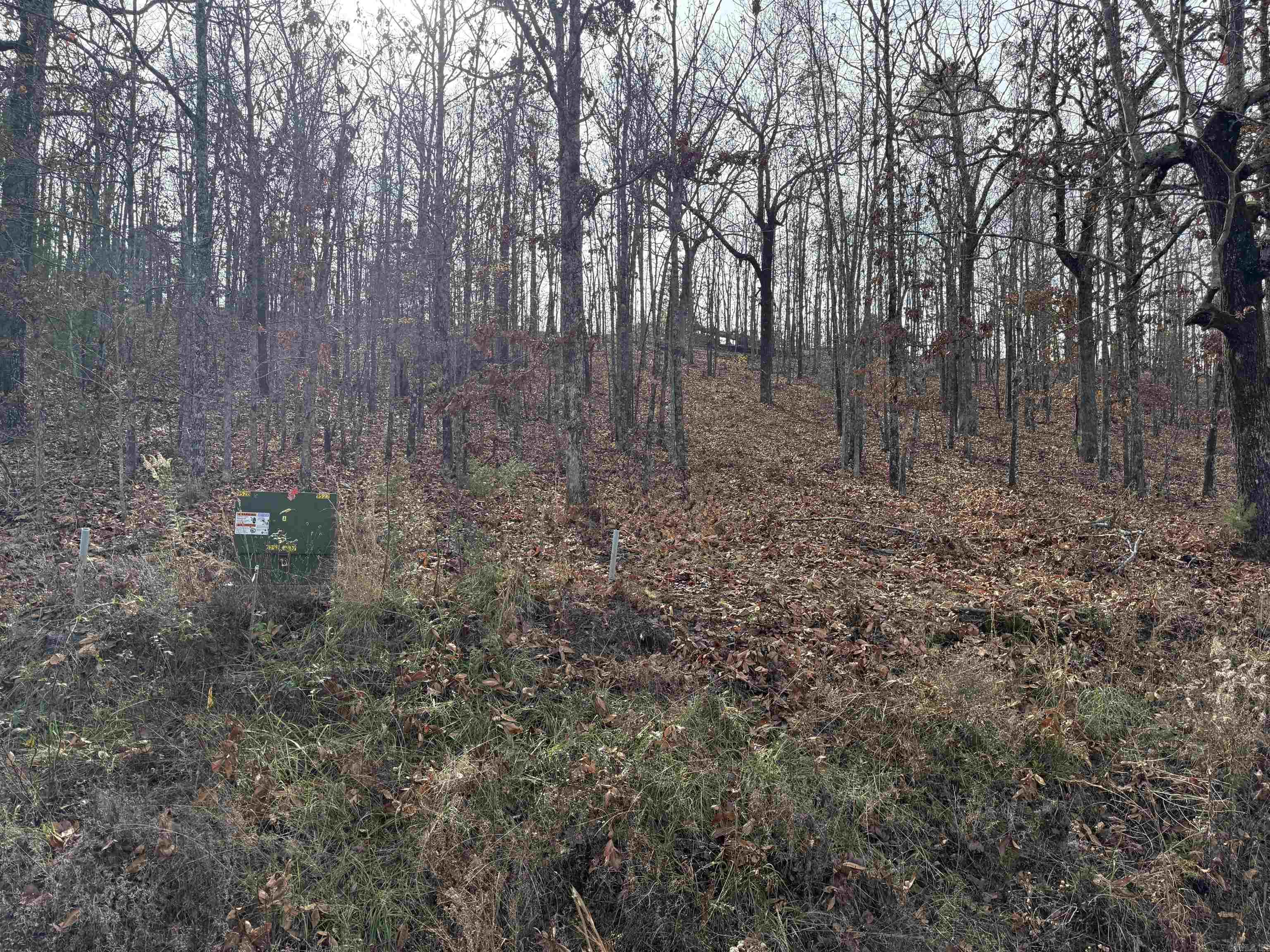 Tract 93 Vernon Court  Austin, AR