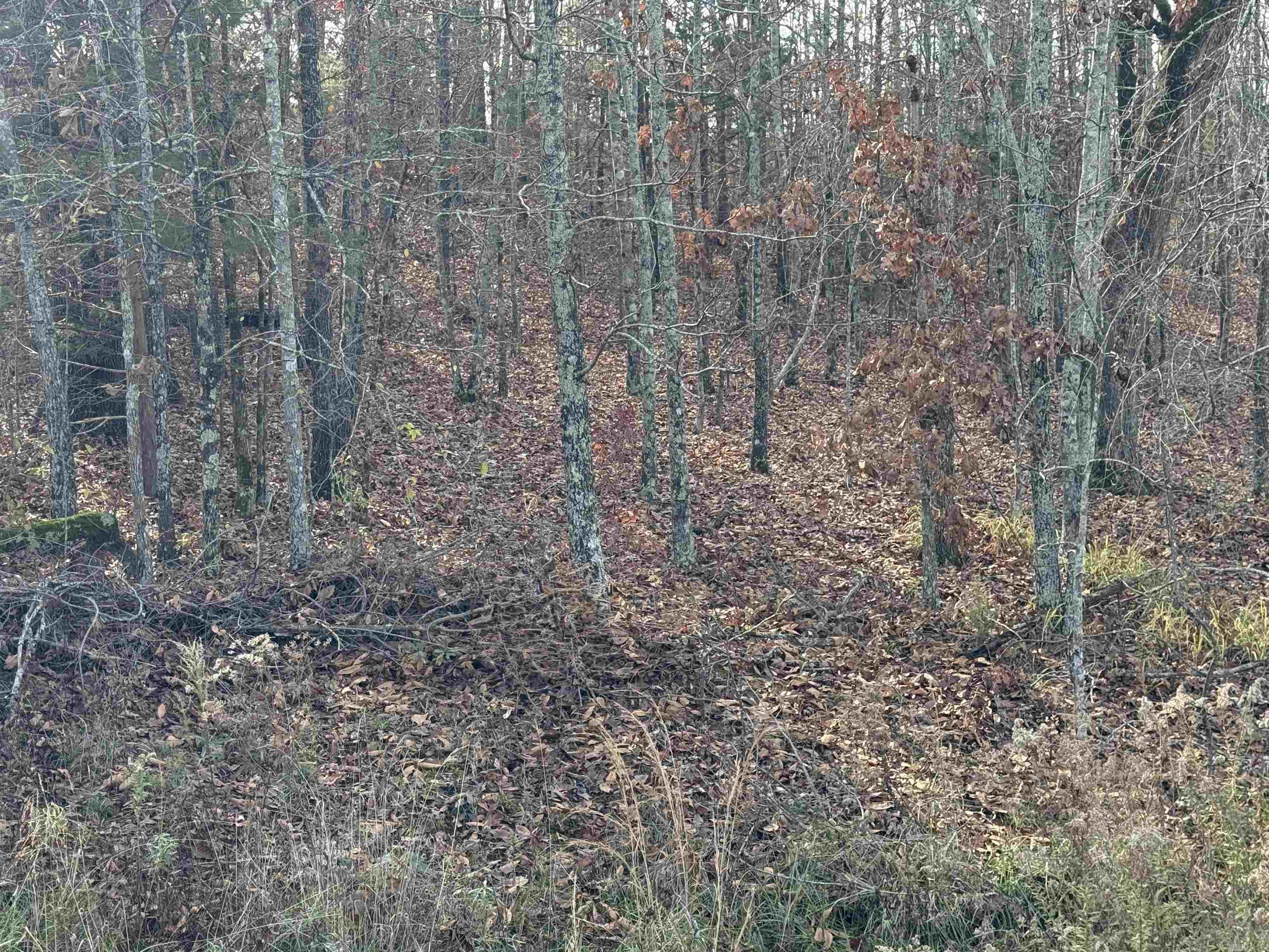 Tract 94 95 Vernon Court  Austin, AR