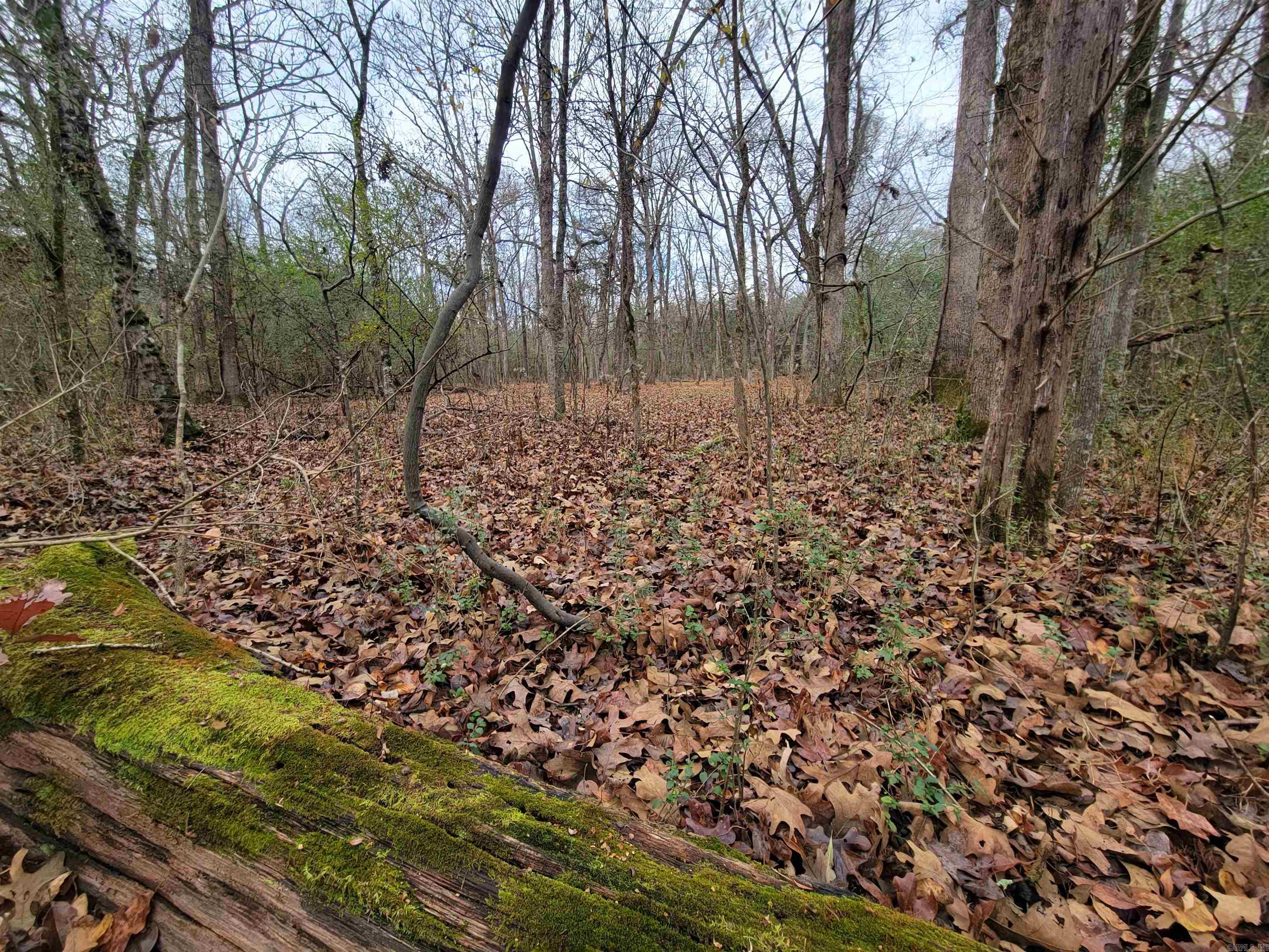 000 McNew Cemetery Rd  Greenbrier, AR