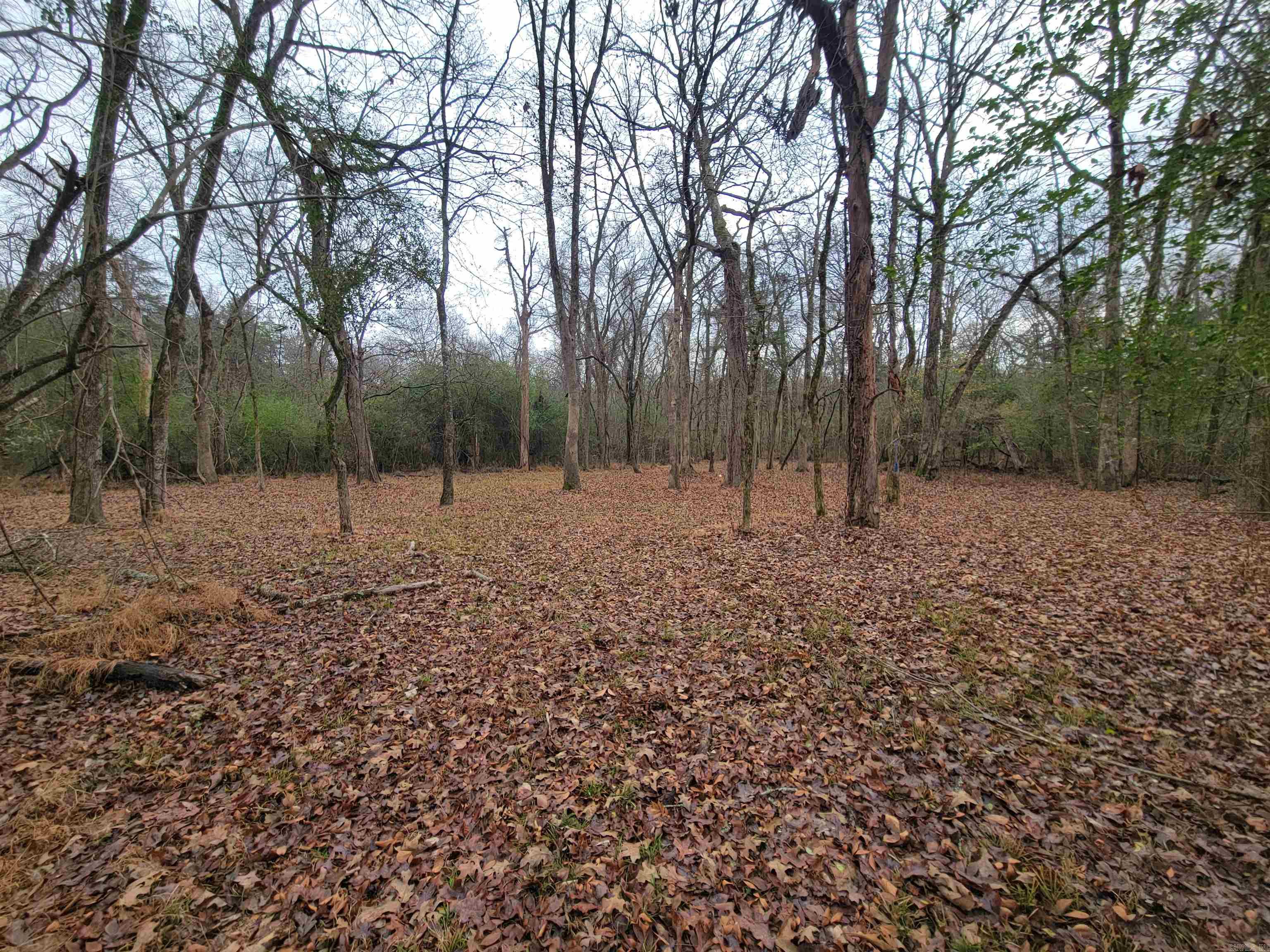 000 McNew Cemetery Rd  Greenbrier, AR