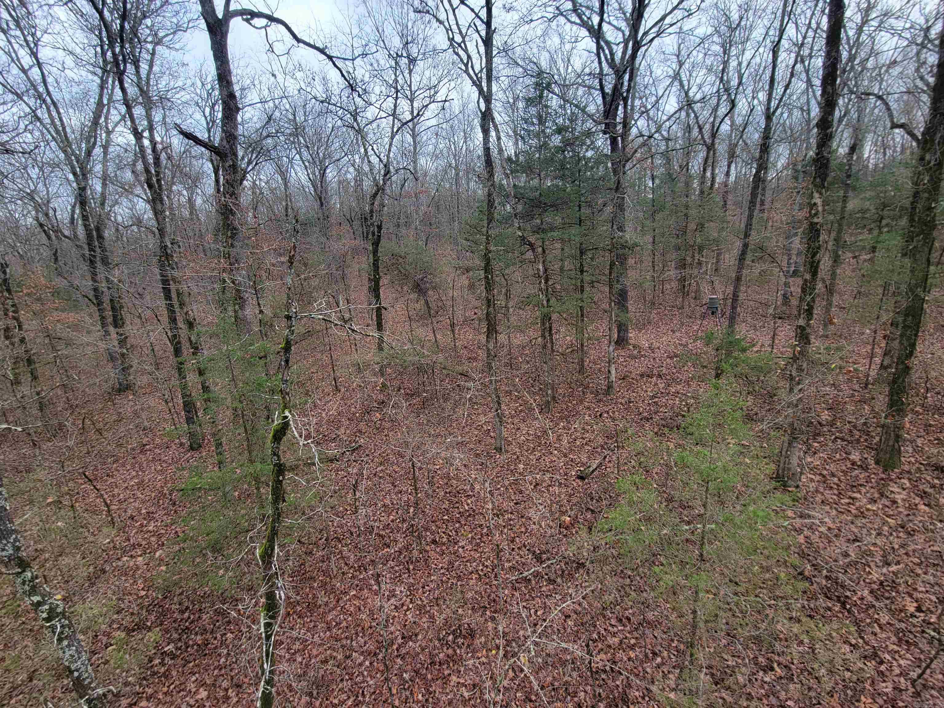 000 McNew Cemetery Rd  Greenbrier, AR