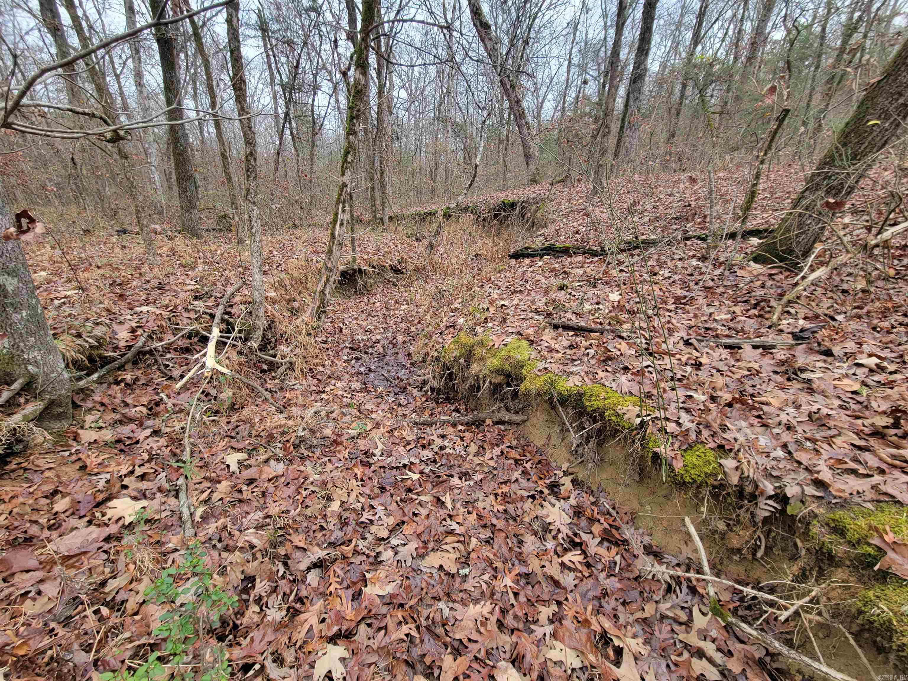 000 McNew Cemetery Rd  Greenbrier, AR