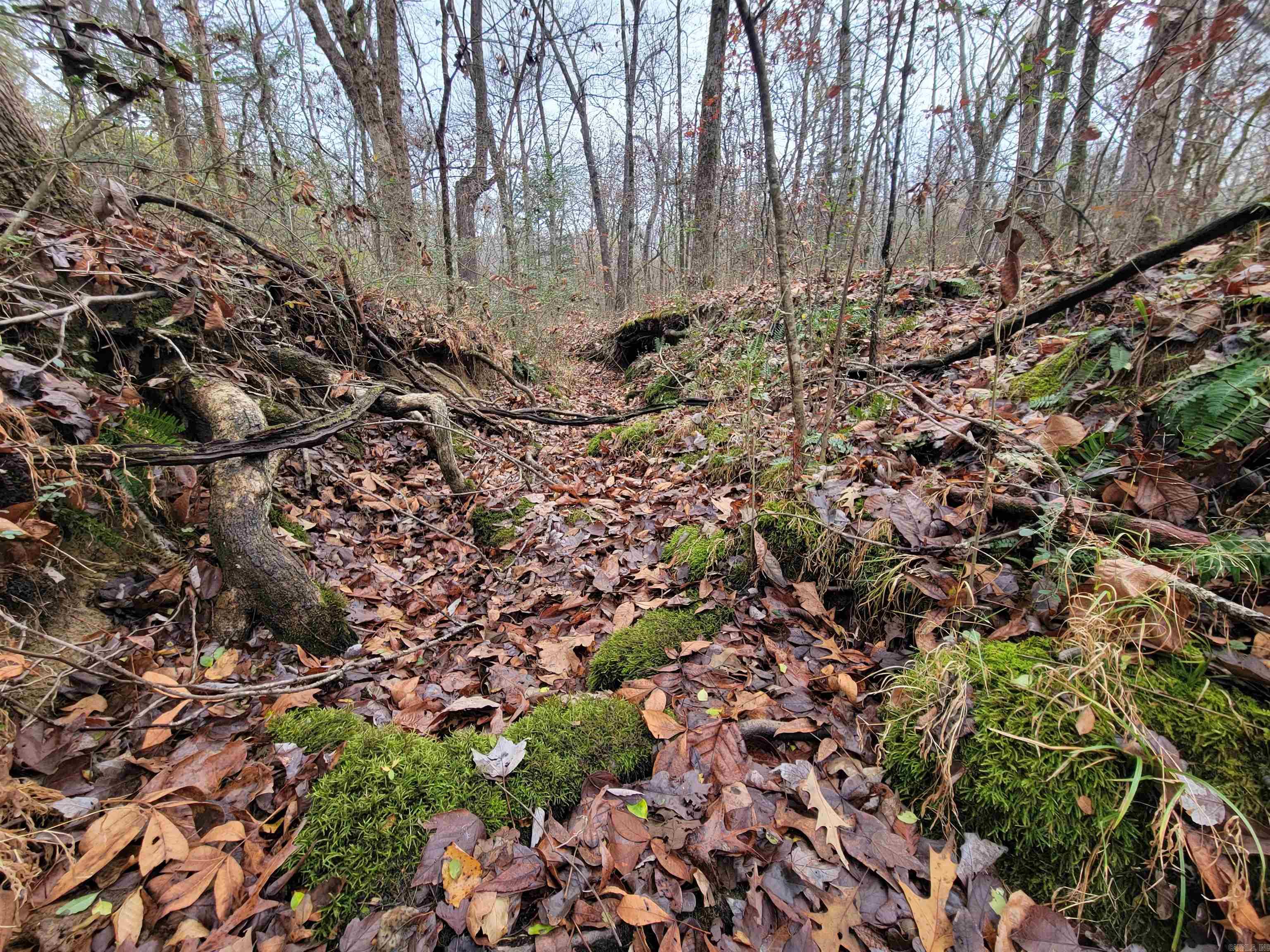 000 McNew Cemetery Rd  Greenbrier, AR
