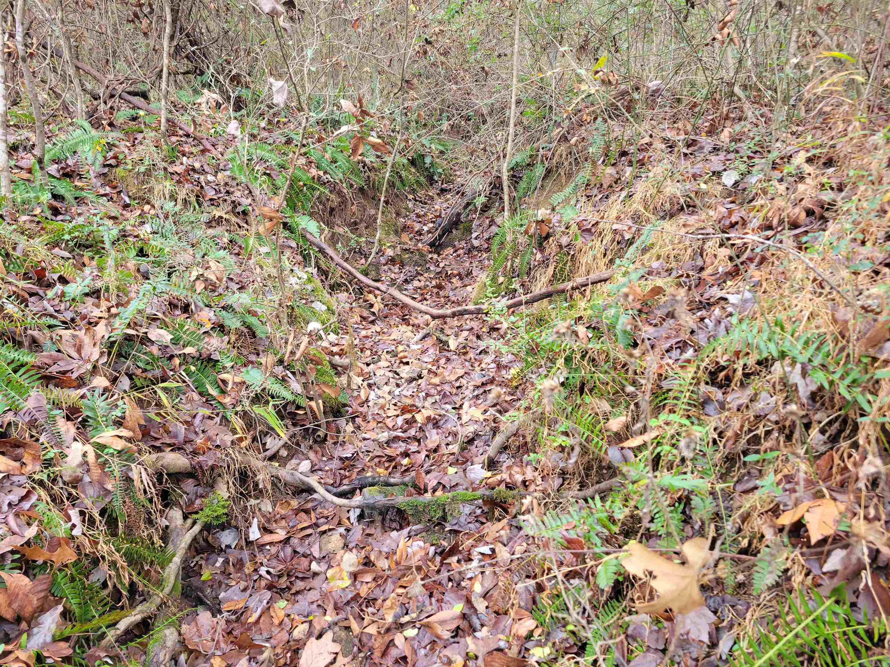 000 McNew Cemetery Rd  Greenbrier, AR