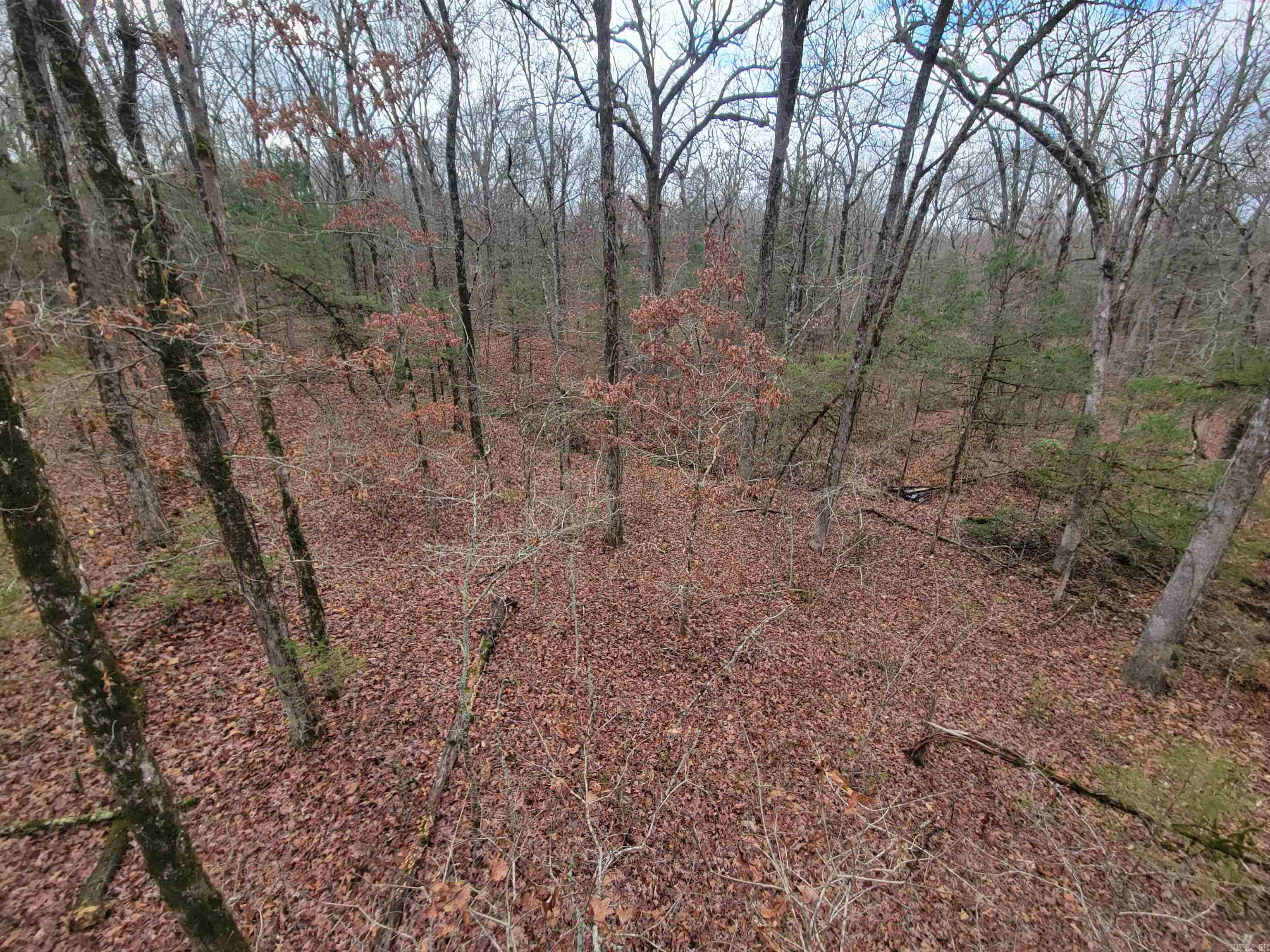 000 McNew Cemetery Rd  Greenbrier, AR