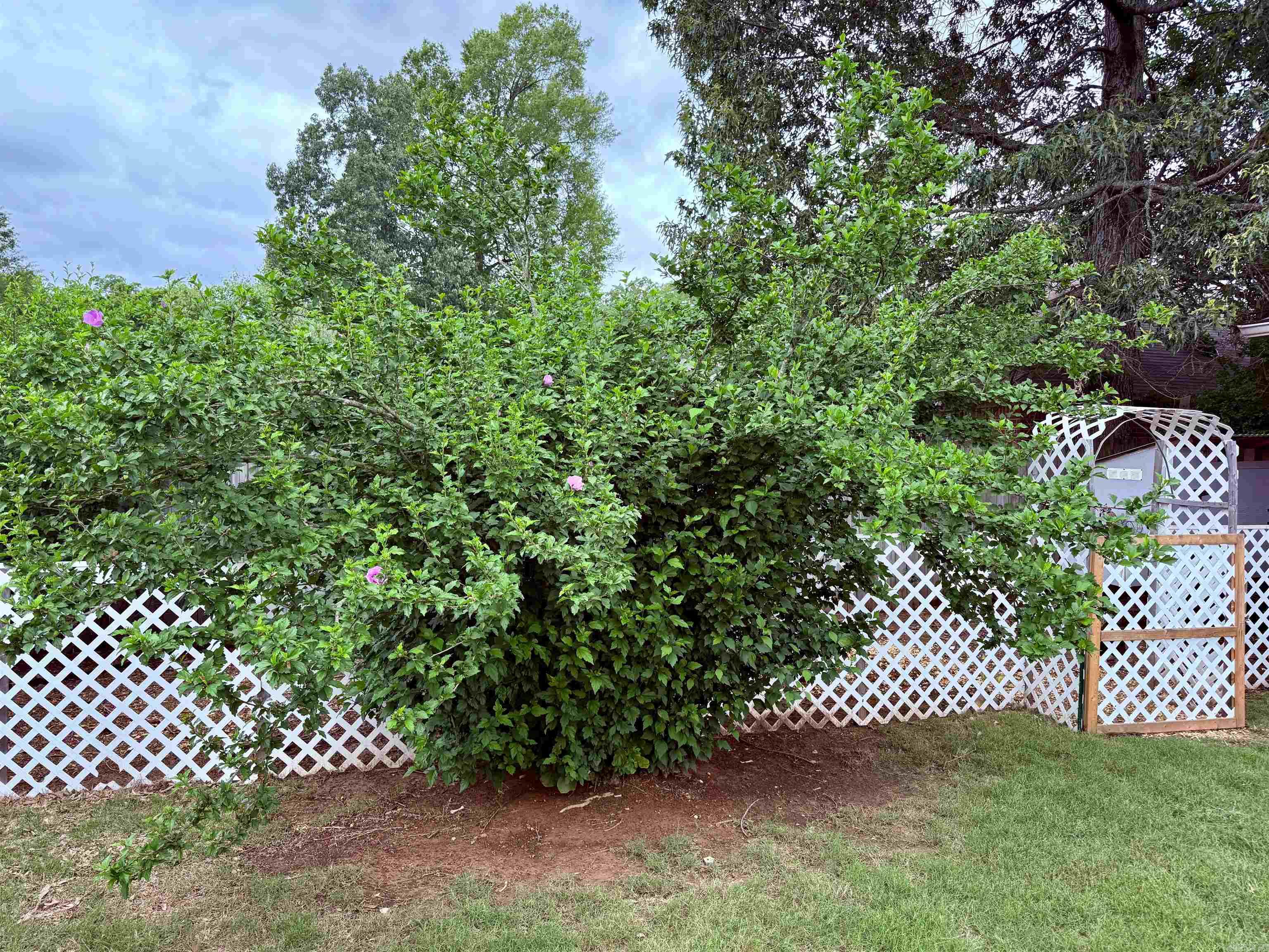 7 Butterfly Drive  Sherwood, AR