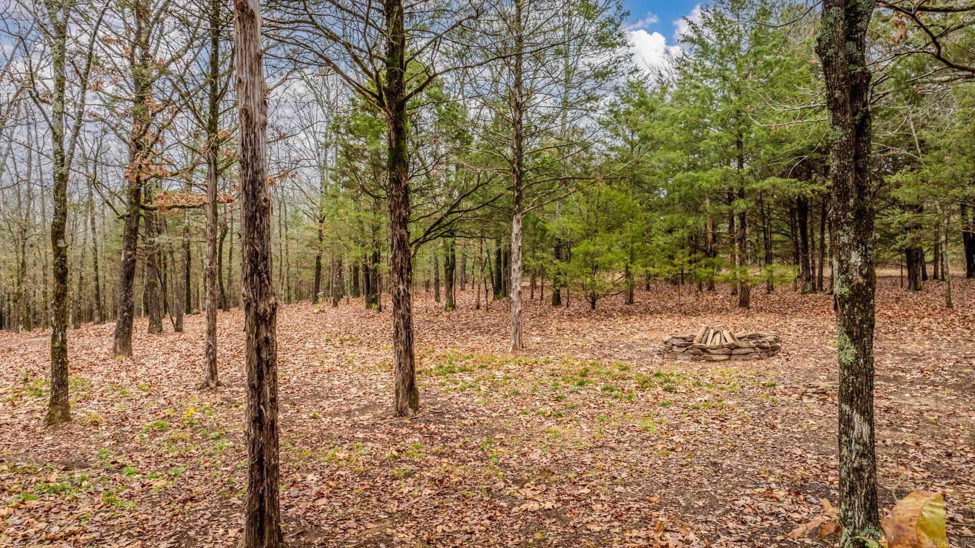 36 Sky Eagle  Greenbrier, AR