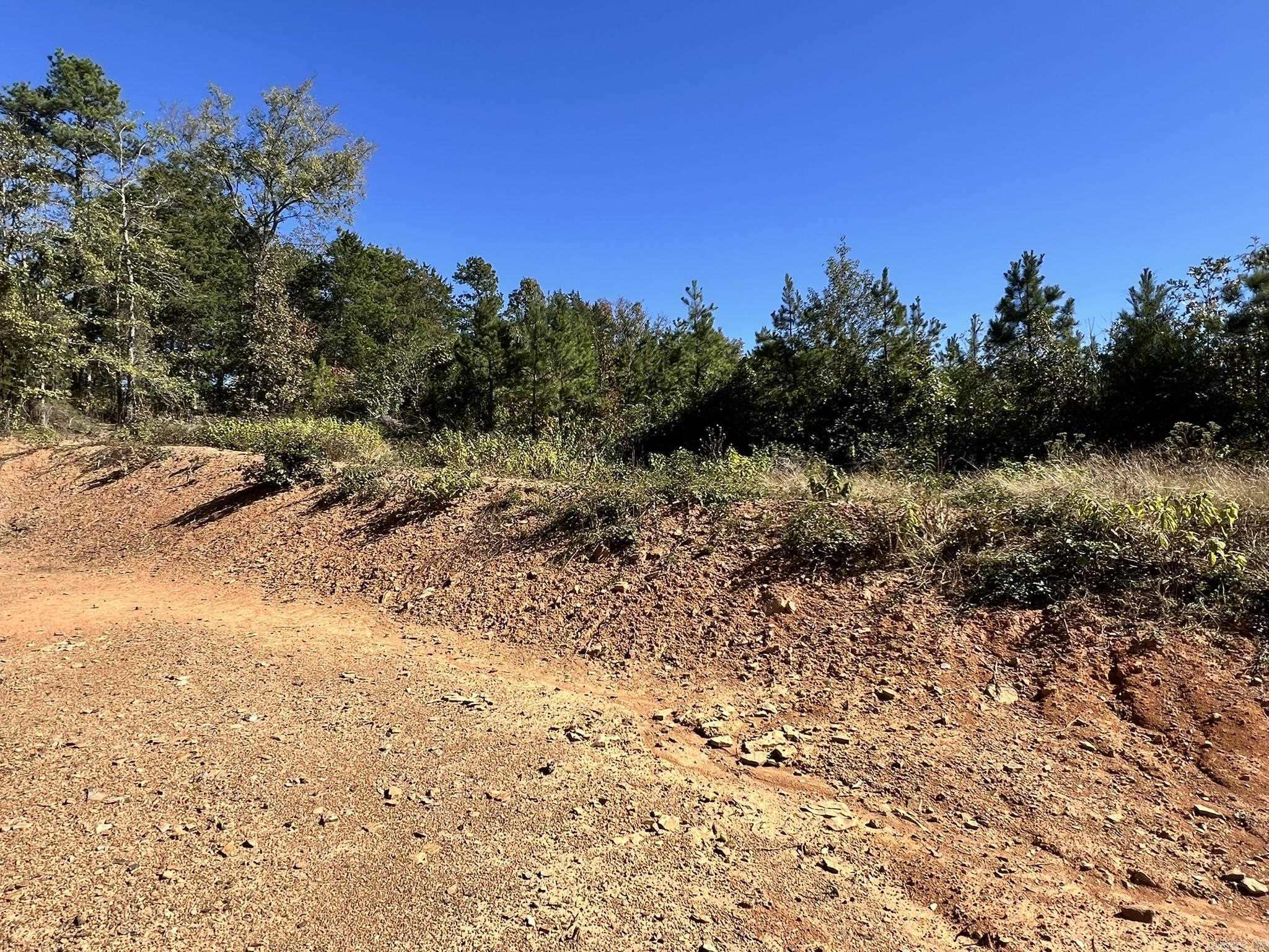 1011 Granny Hollar  Atkins, AR