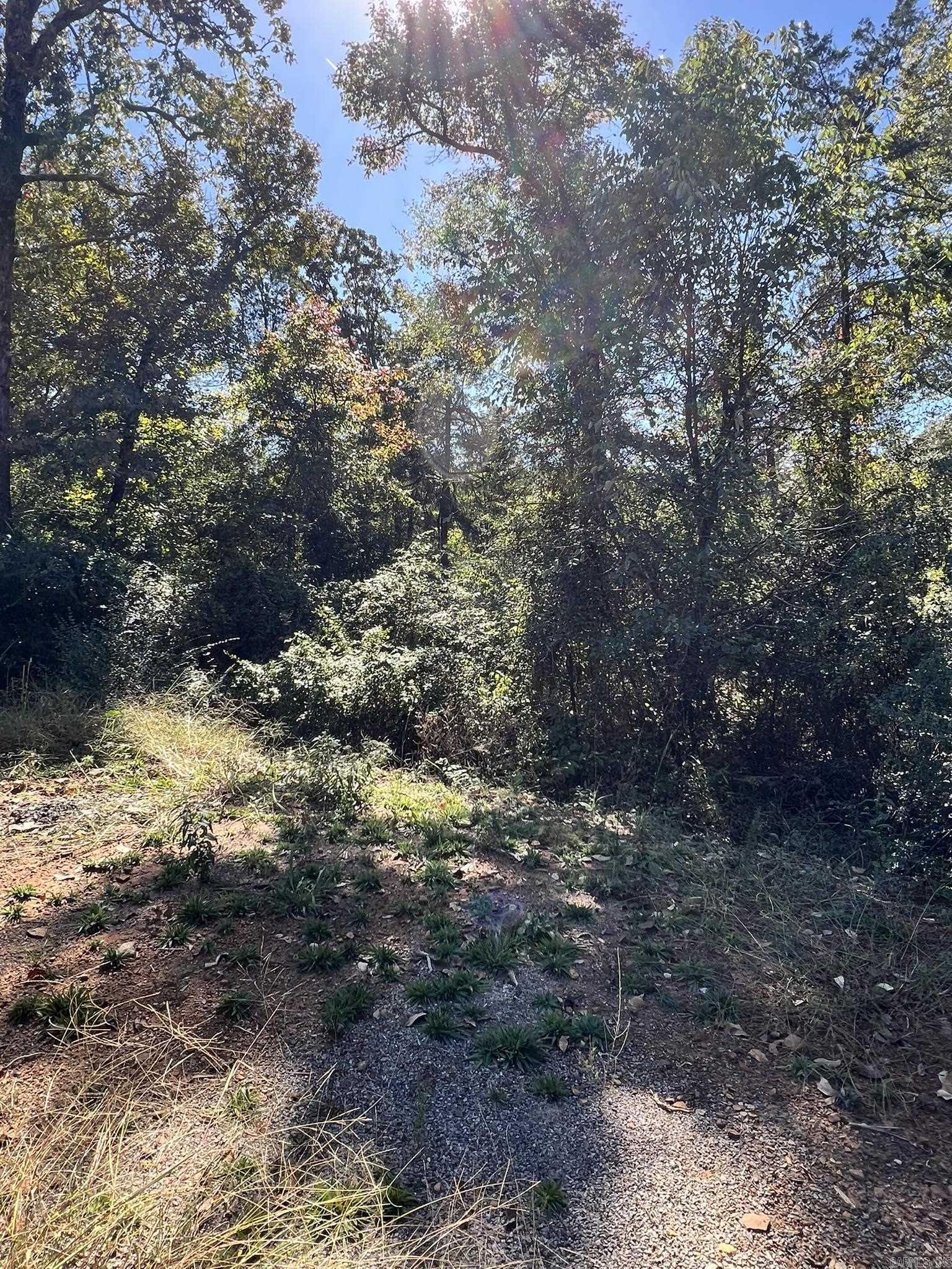 1011 Granny Hollar  Atkins, AR