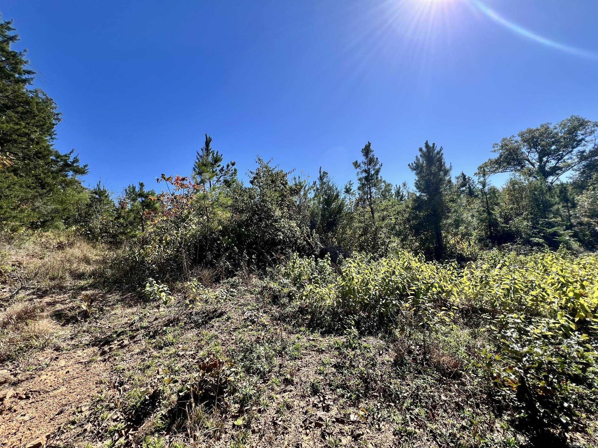 1011 Granny Hollar  Atkins, AR