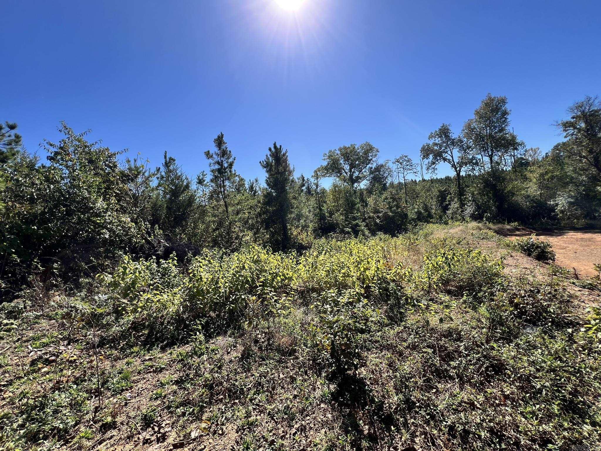 1011 Granny Hollar  Atkins, AR