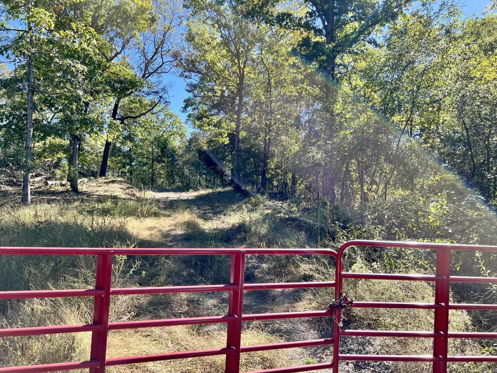 1011 Granny Hollar  Atkins, AR