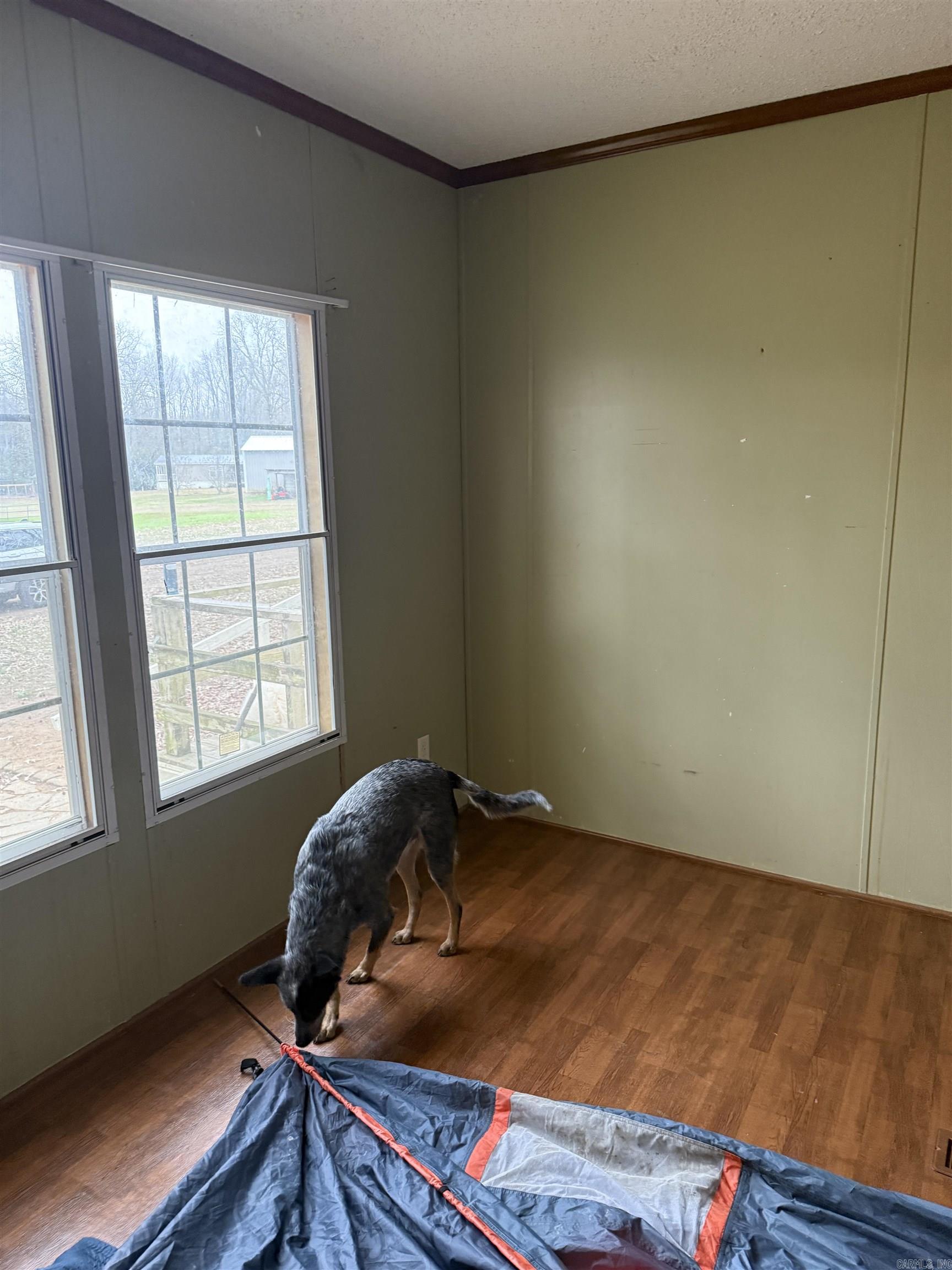 1531 Letona Road Searcy, AR 72143