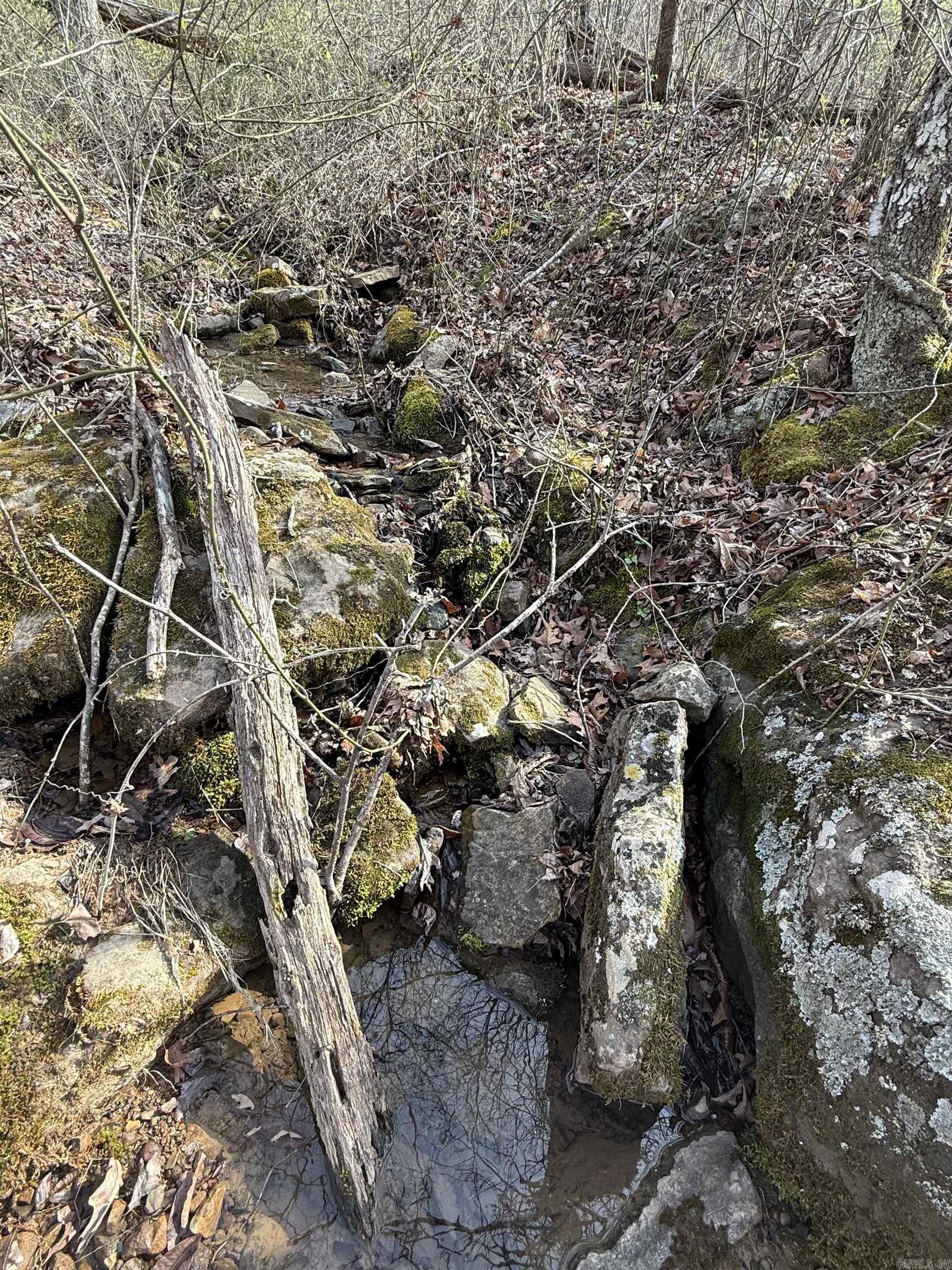 150 Woopsee  Leslie, AR