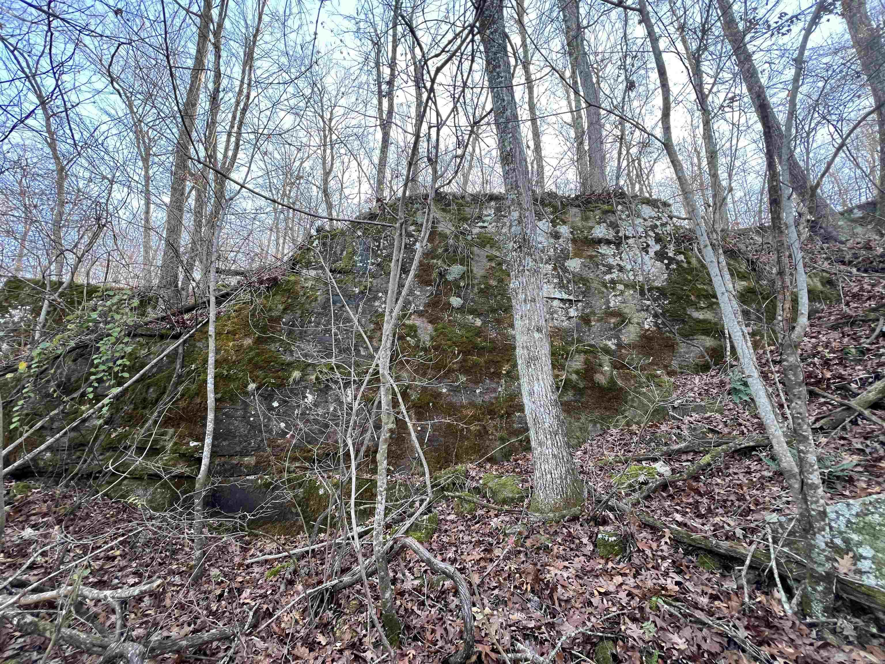 150 Woopsee  Leslie, AR