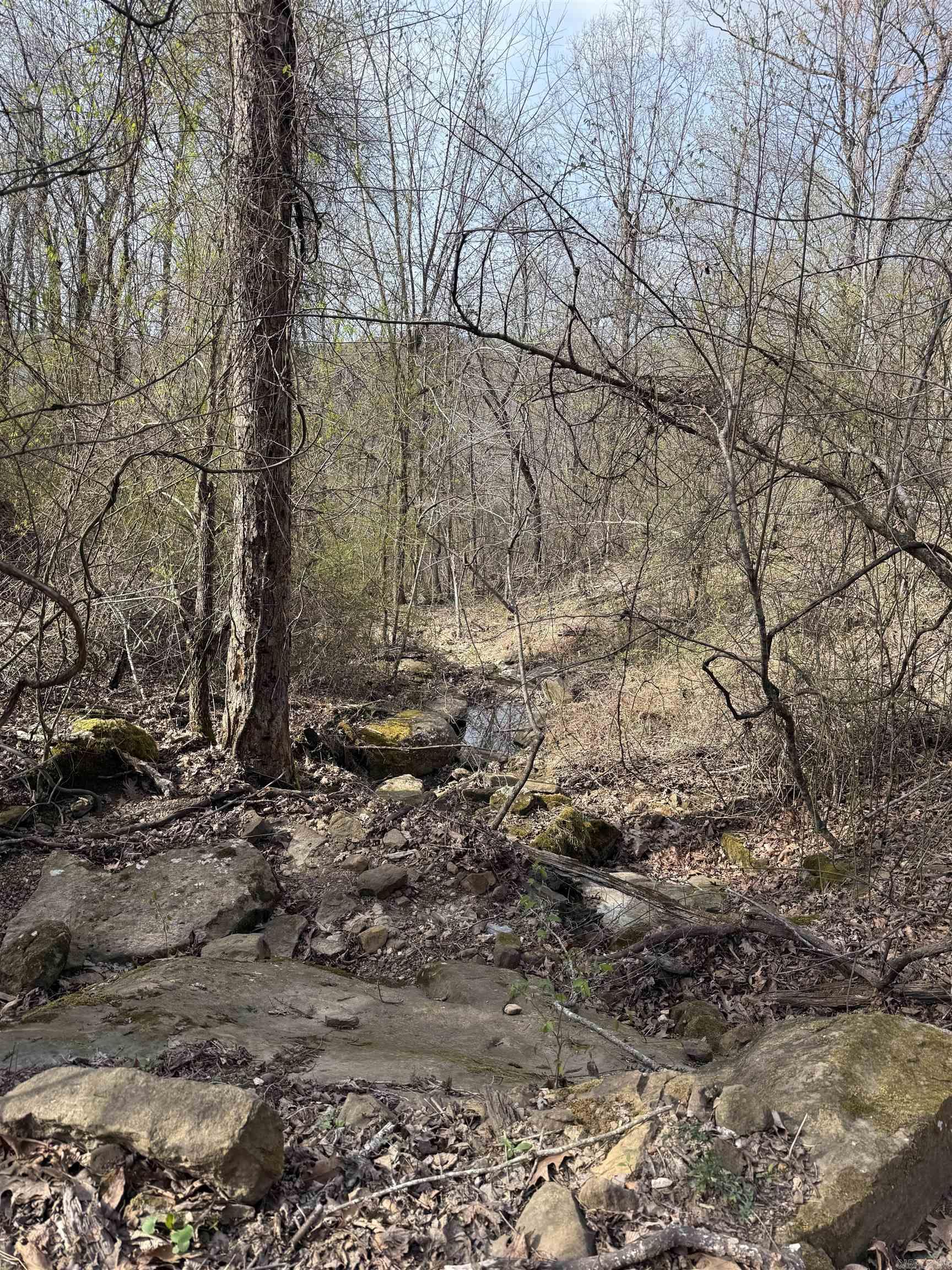 150 Woopsee  Leslie, AR