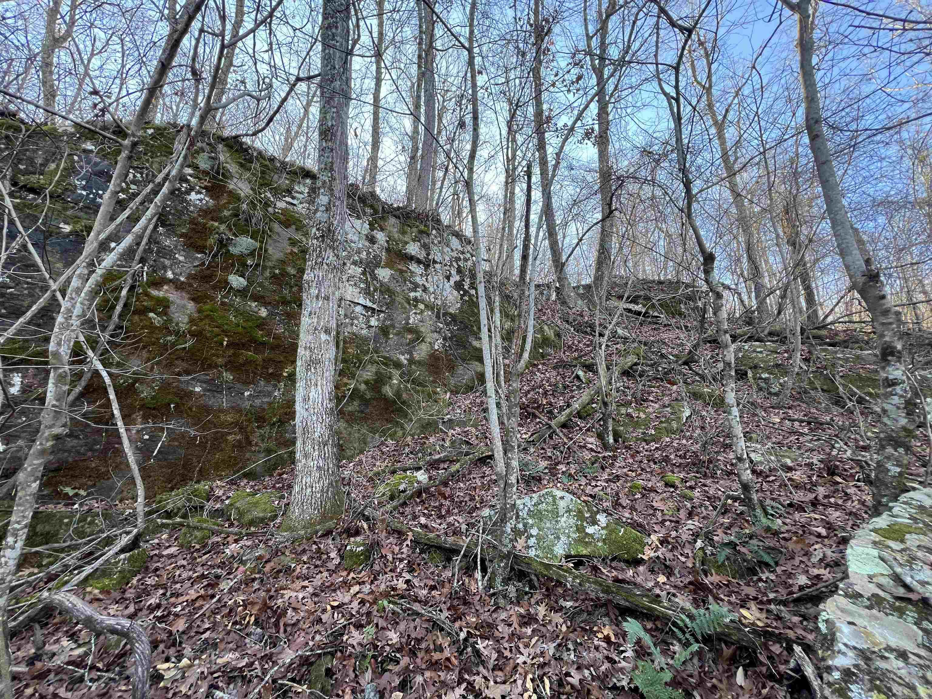 150 Woopsee  Leslie, AR