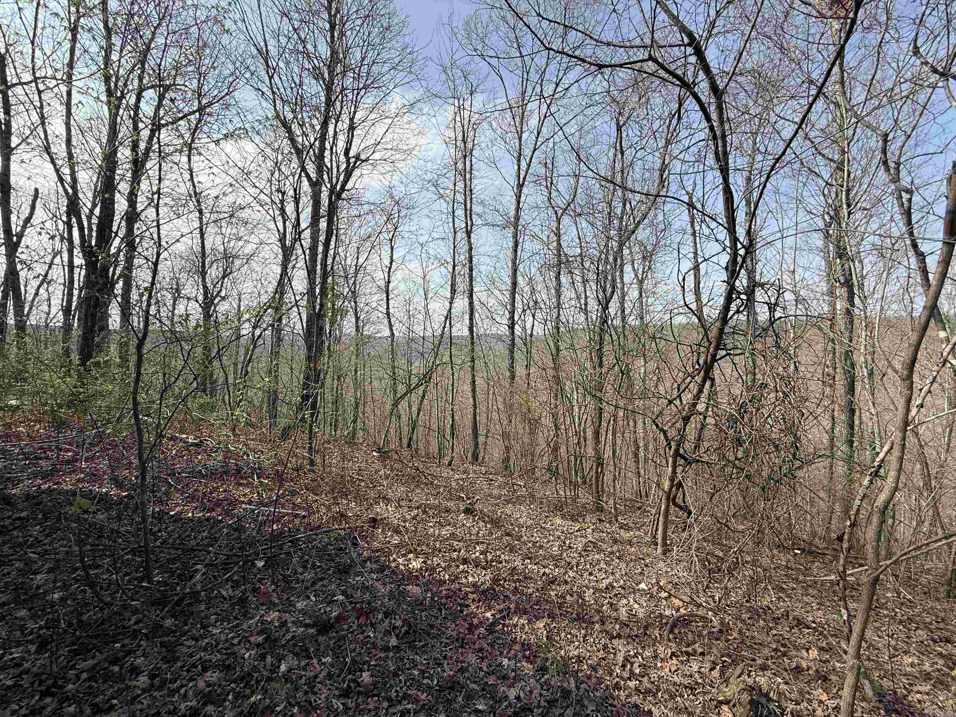 150 Woopsee  Leslie, AR