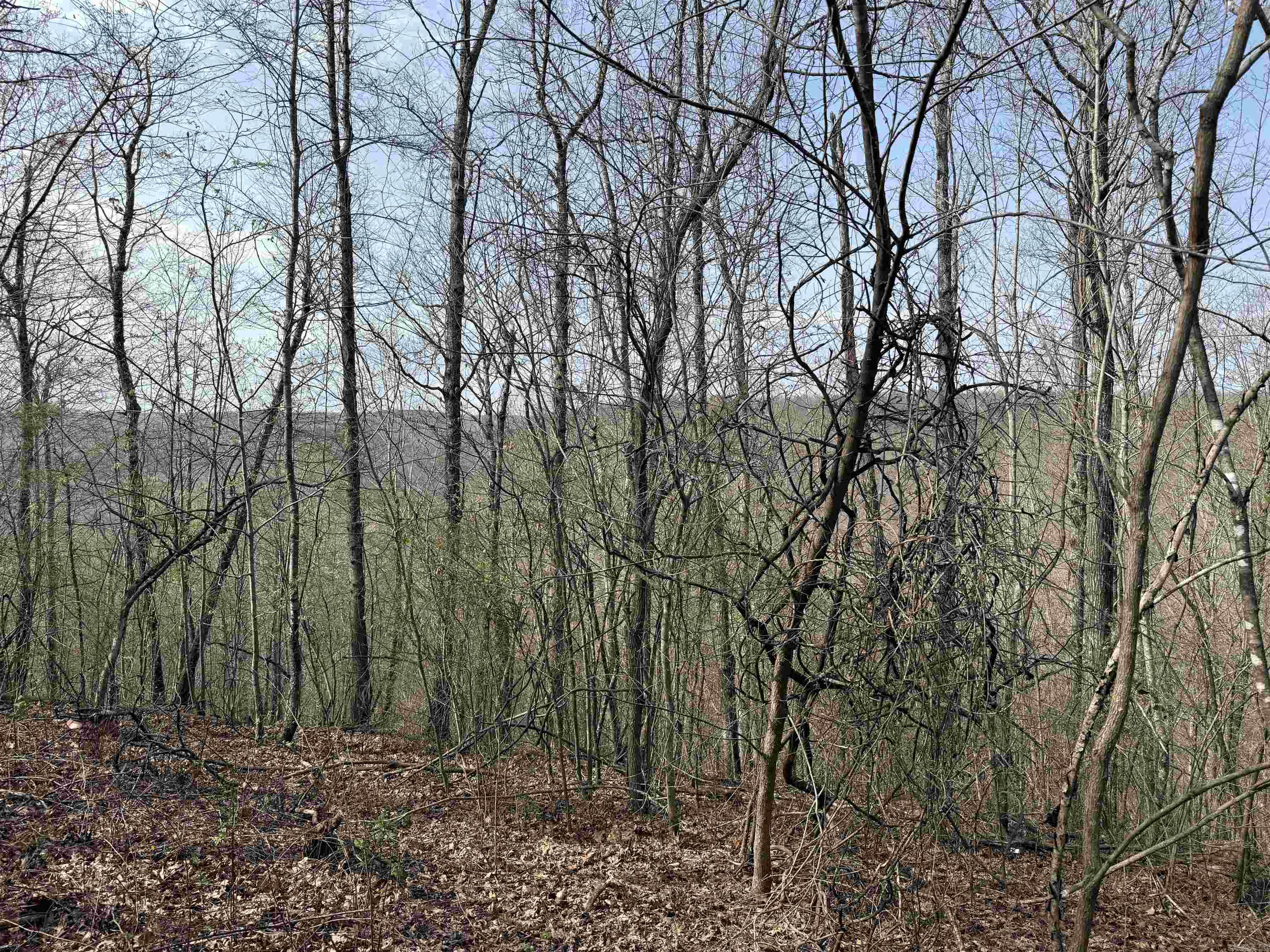 150 Woopsee  Leslie, AR