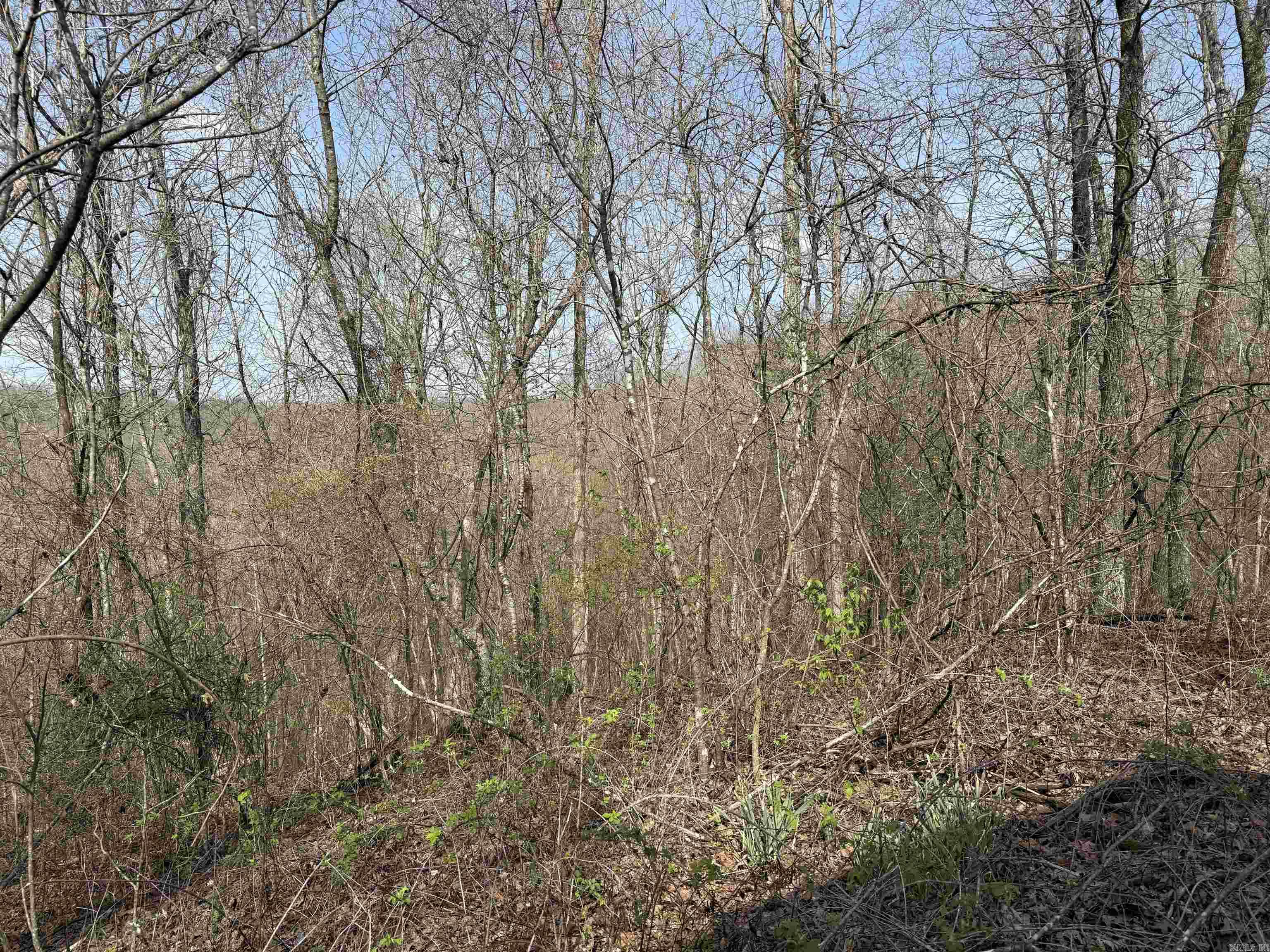 150 Woopsee  Leslie, AR