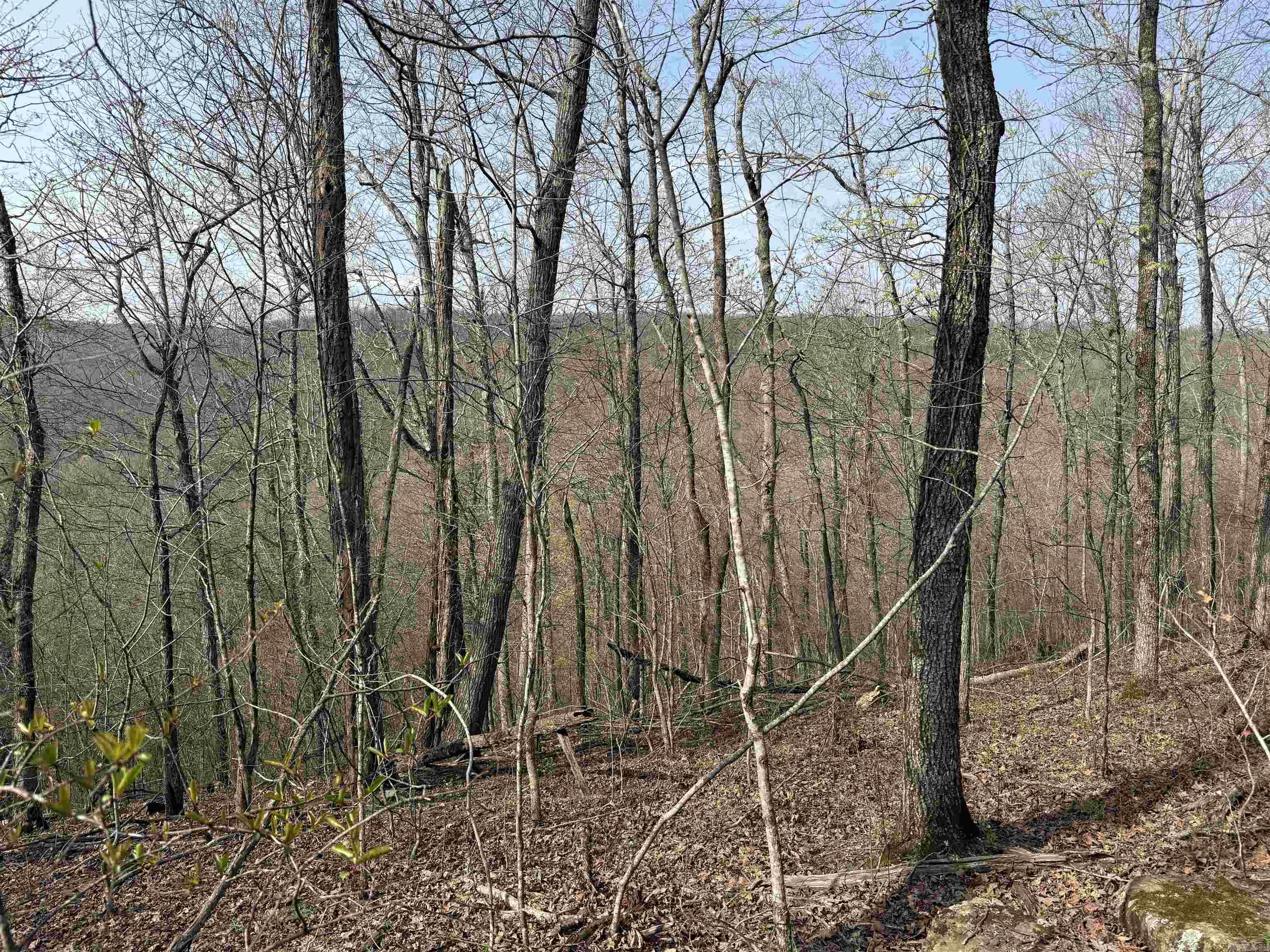 150 Woopsee  Leslie, AR