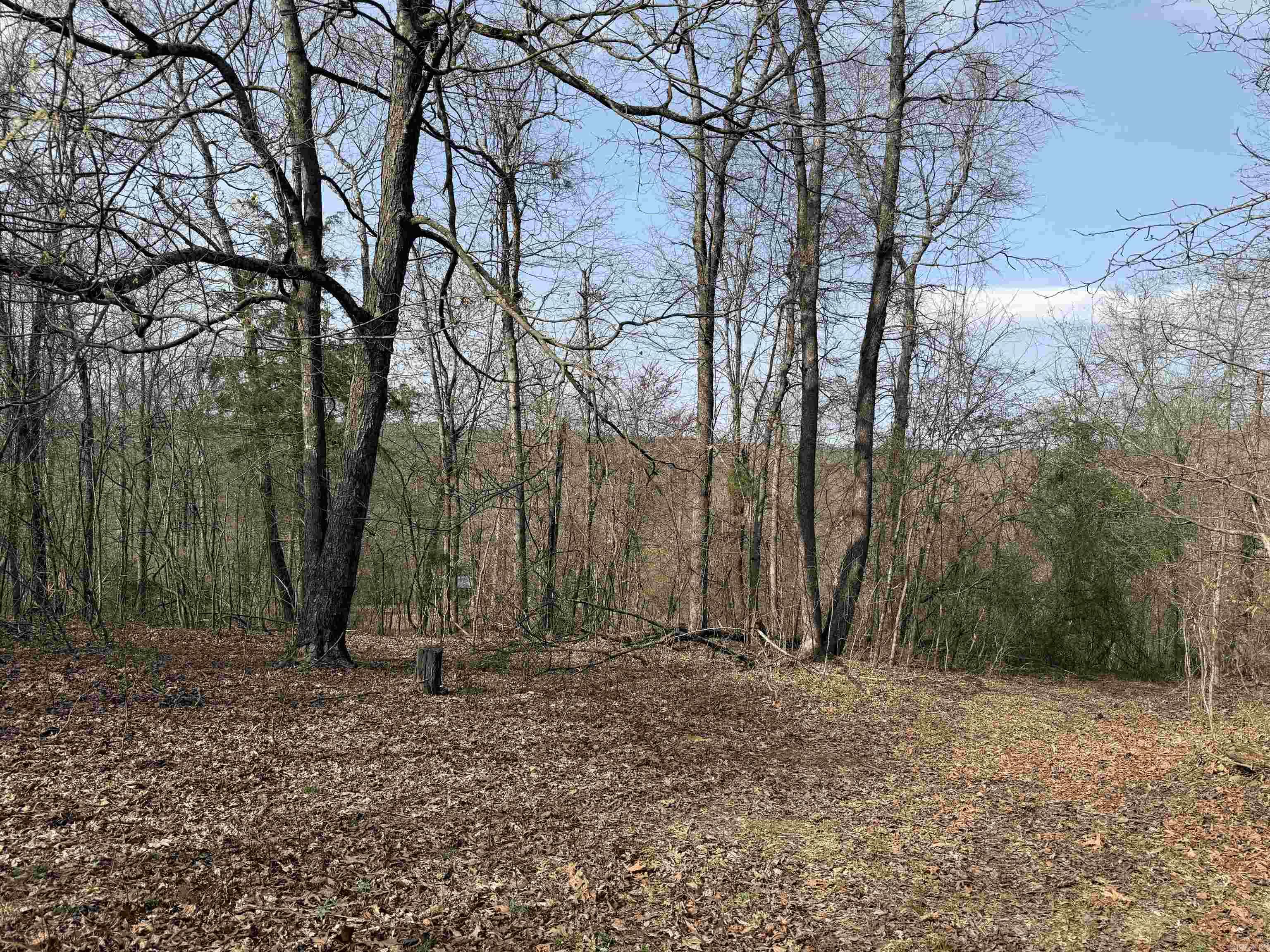 150 Woopsee  Leslie, AR