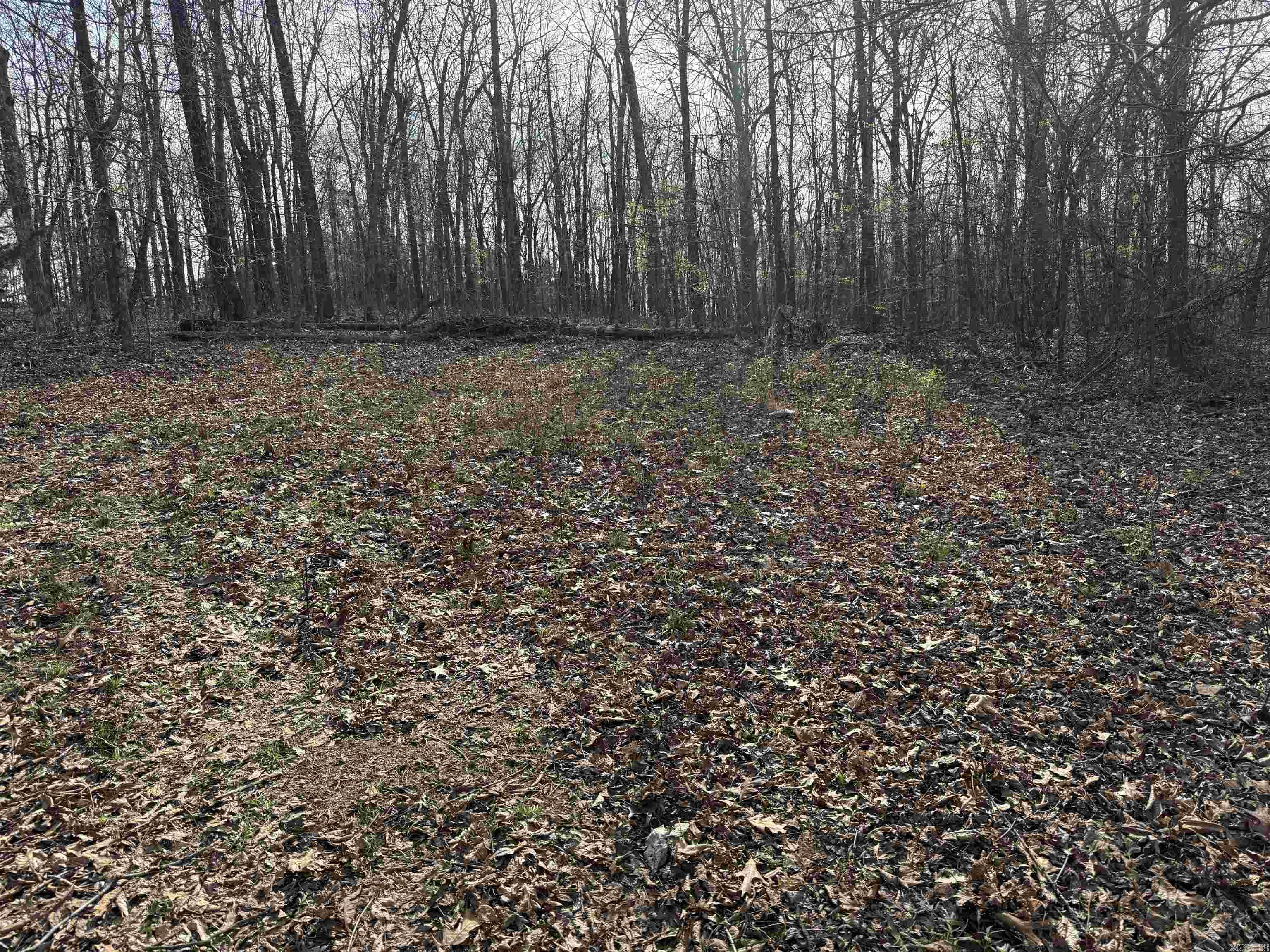 150 Woopsee  Leslie, AR