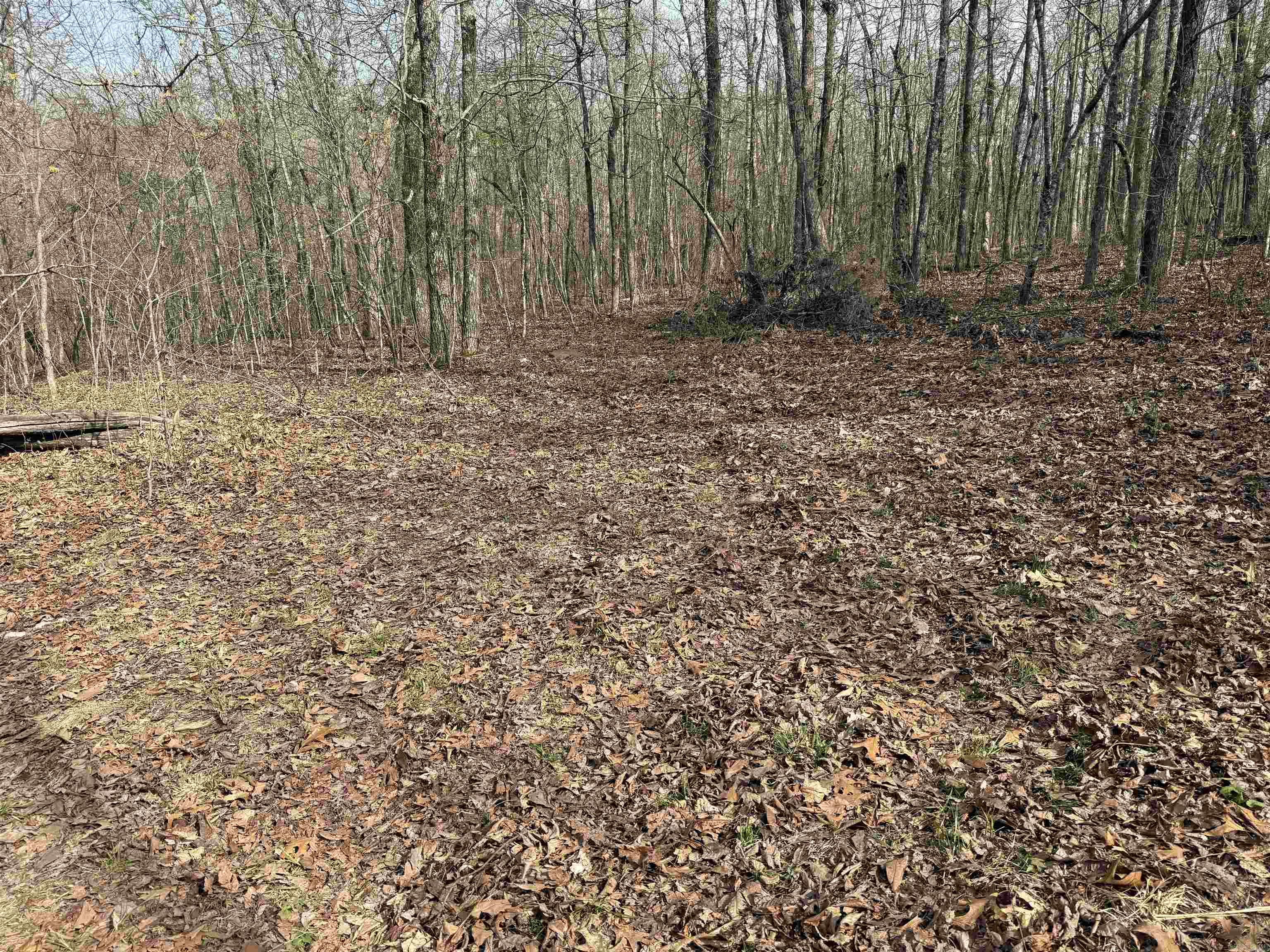 150 Woopsee  Leslie, AR